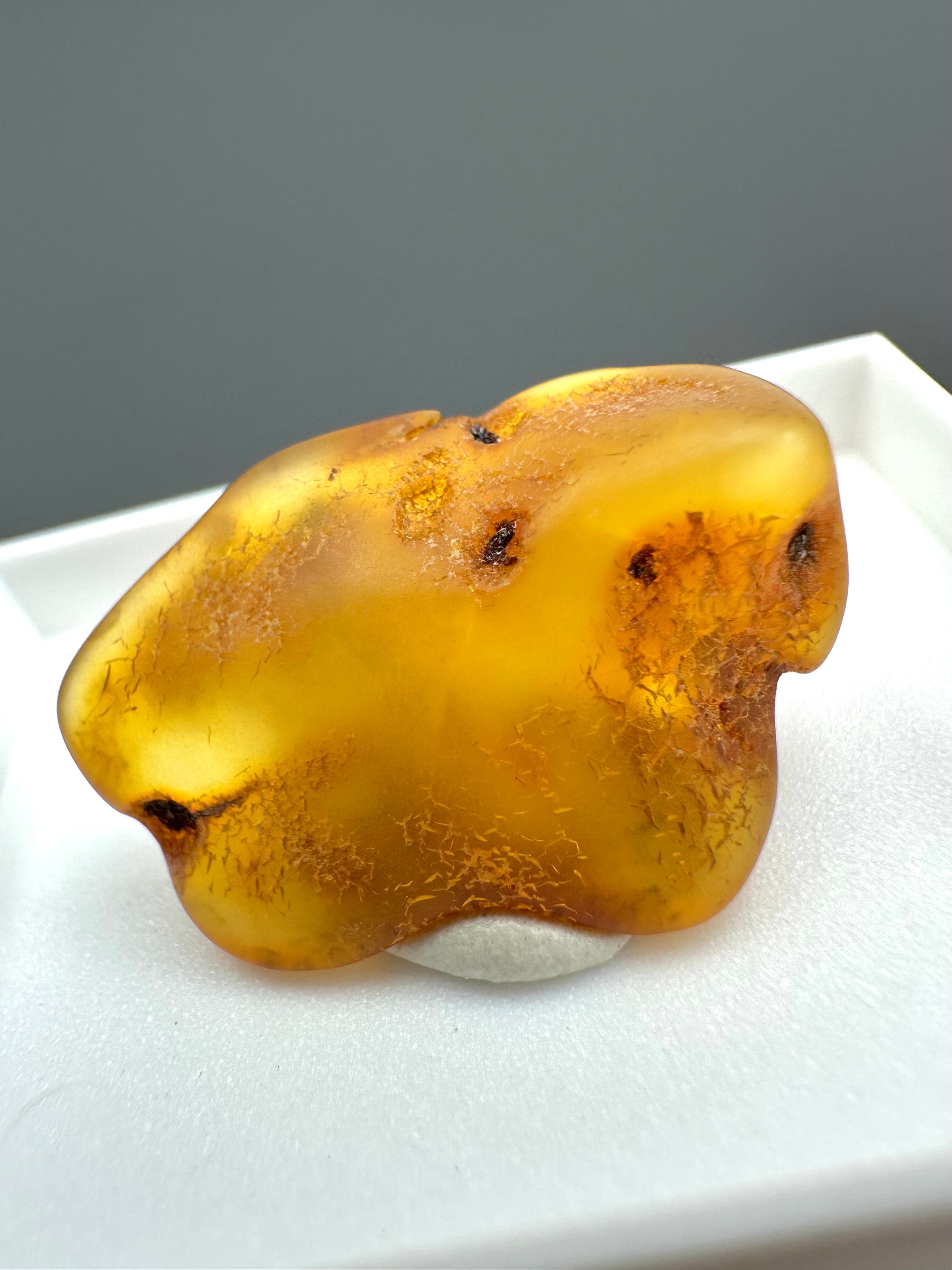 Amber – Gdańsk, Poland - MVK552