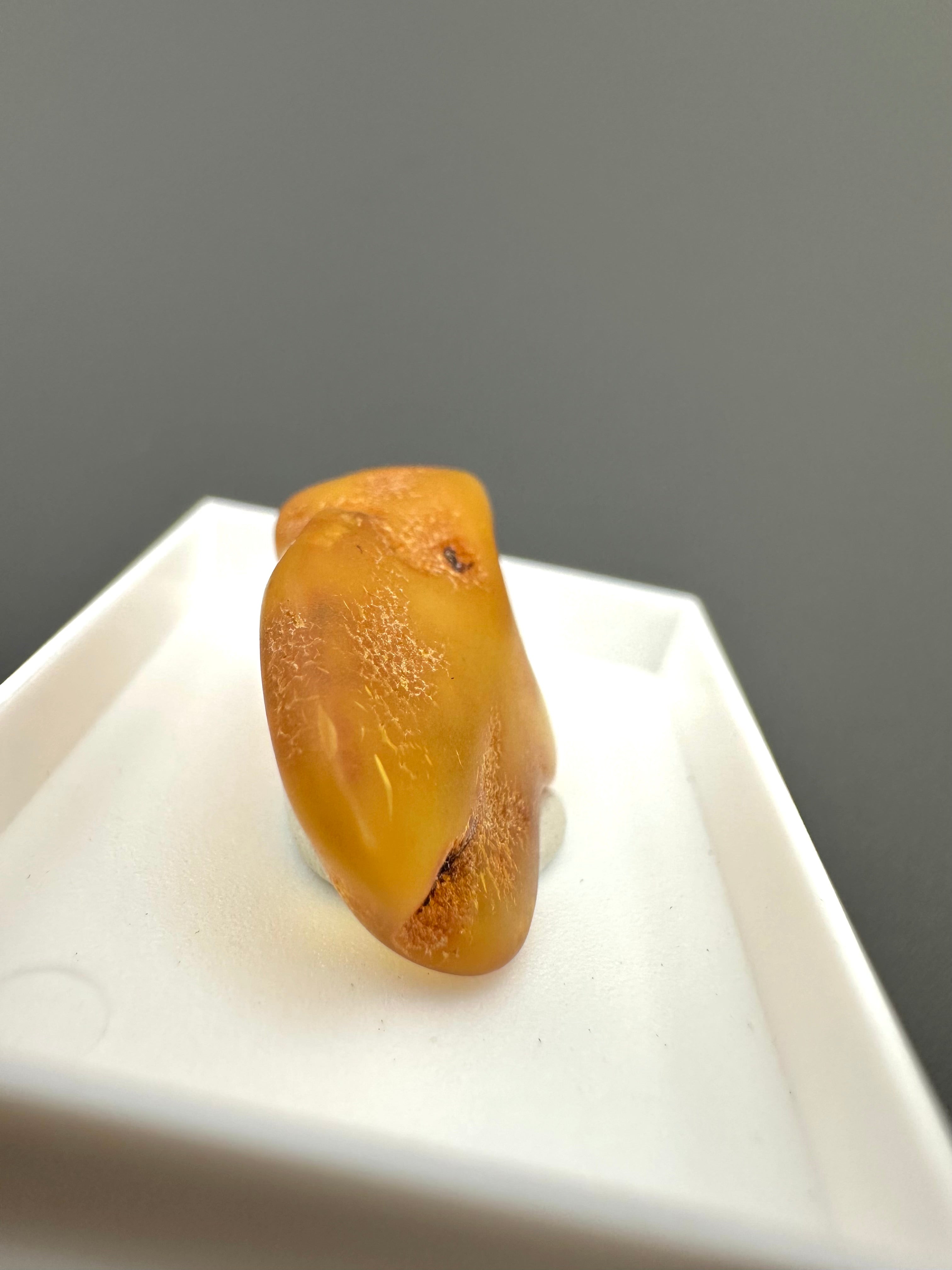Amber – Gdańsk, Poland - MVK552