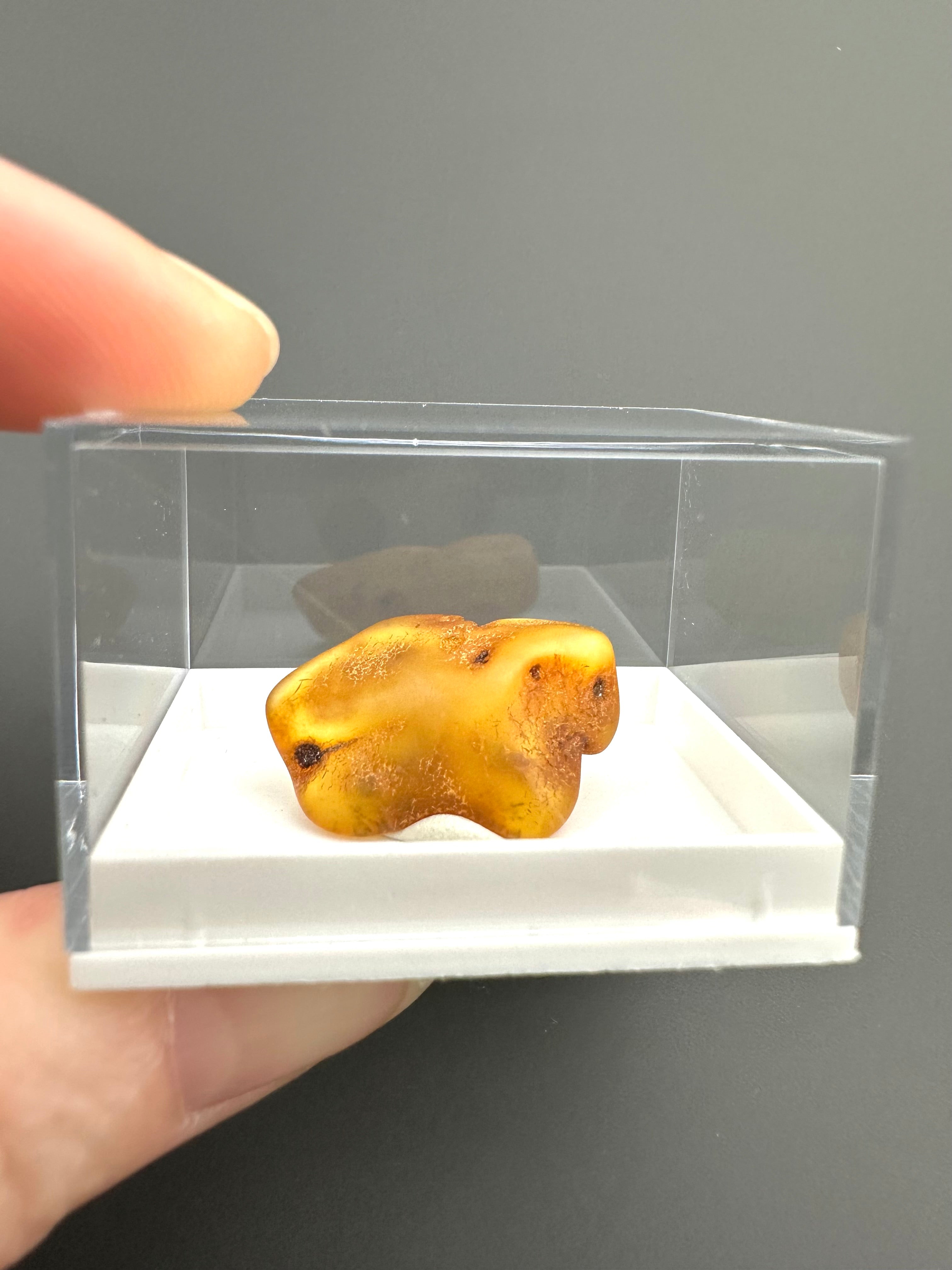 Amber – Gdańsk, Poland