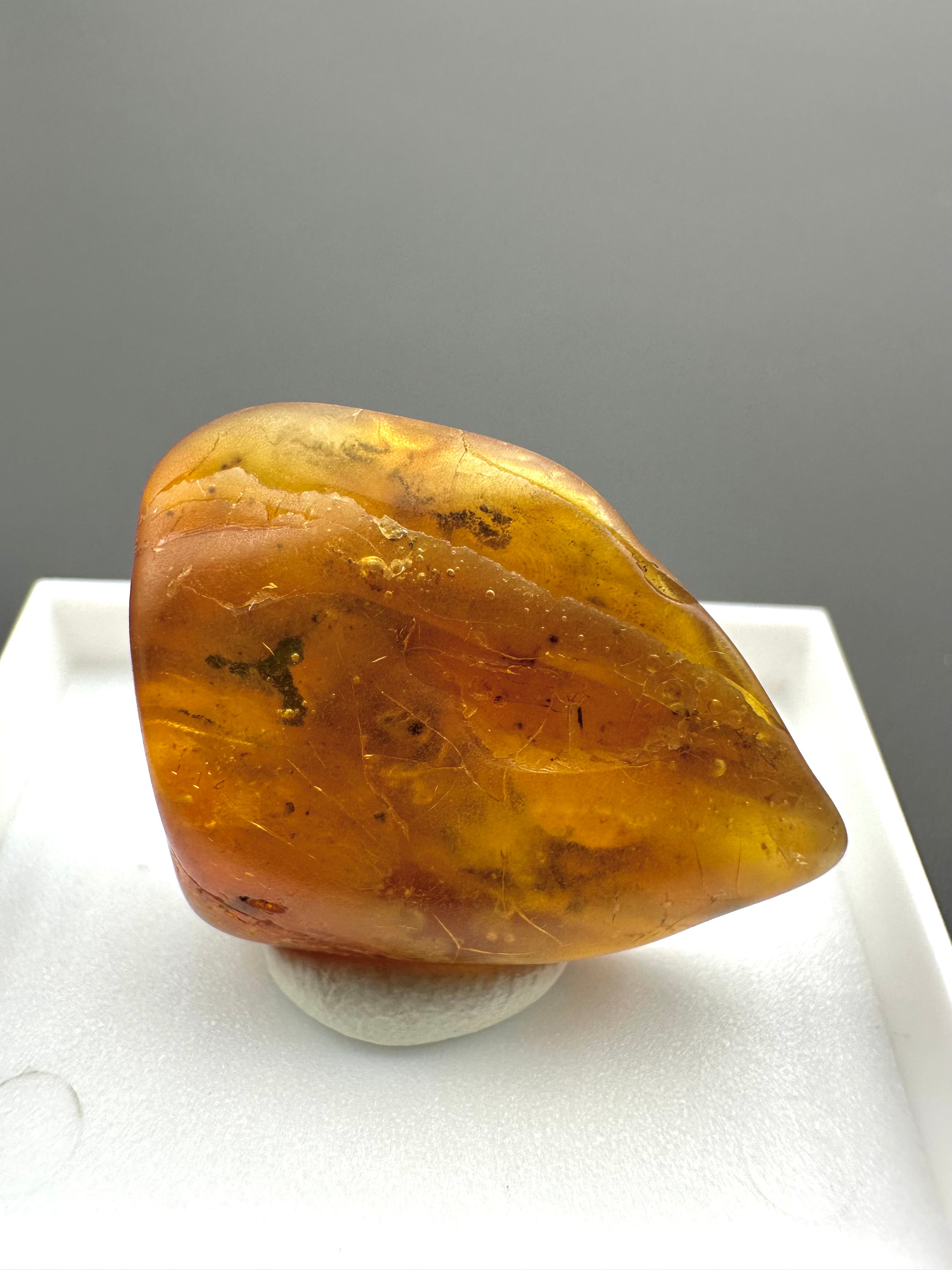 Amber – Gdańsk, Poland - MVK553