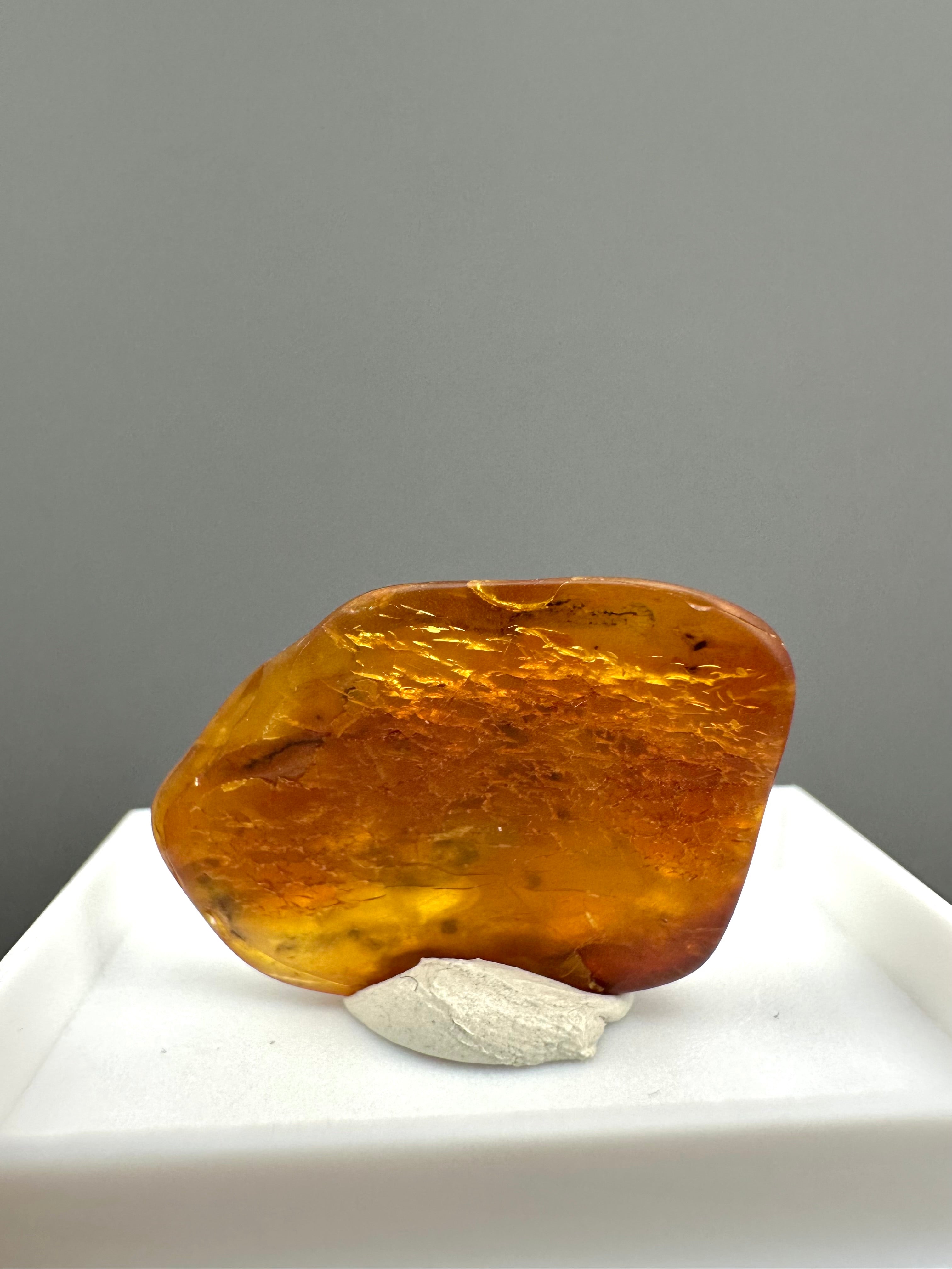 Amber – Gdańsk, Poland - MVK553