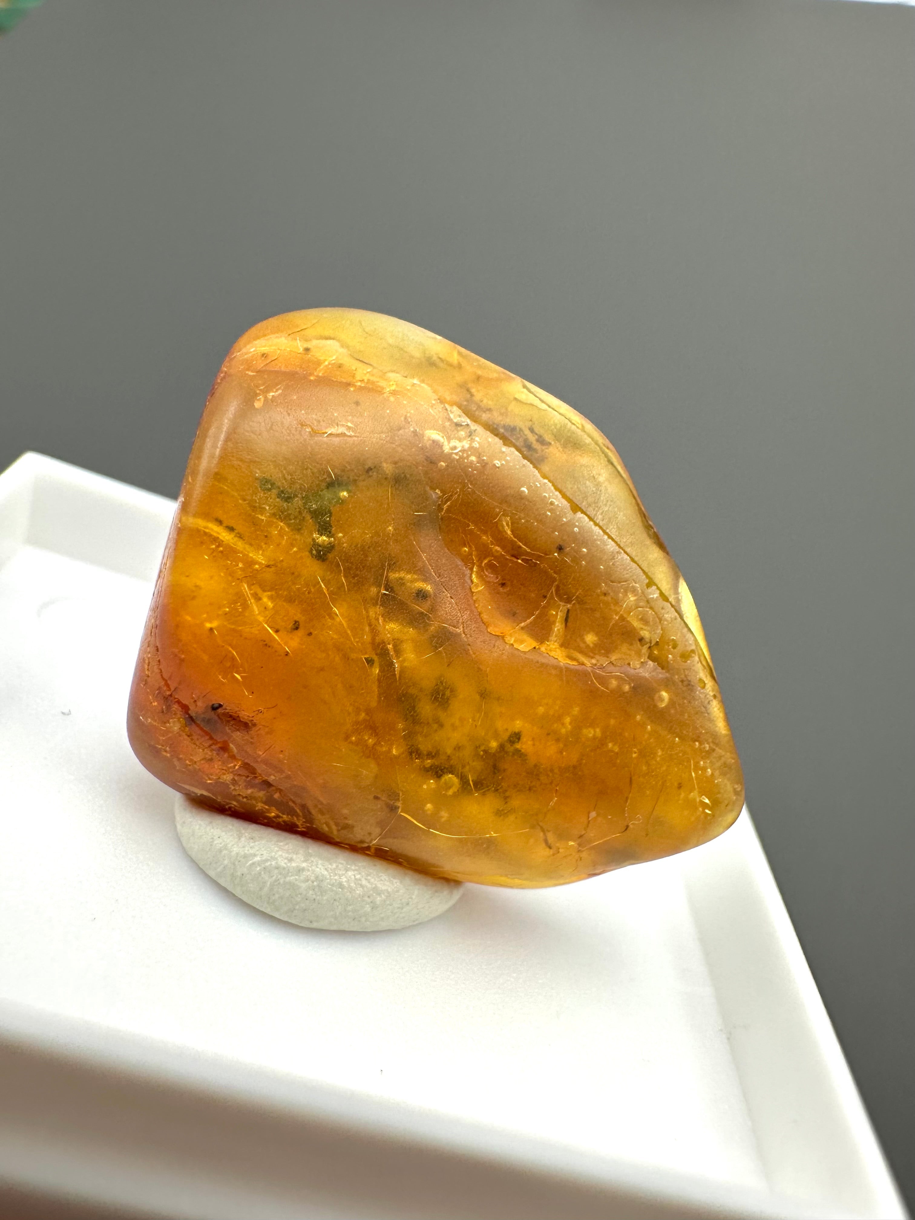 Amber – Gdańsk, Poland - MVK553