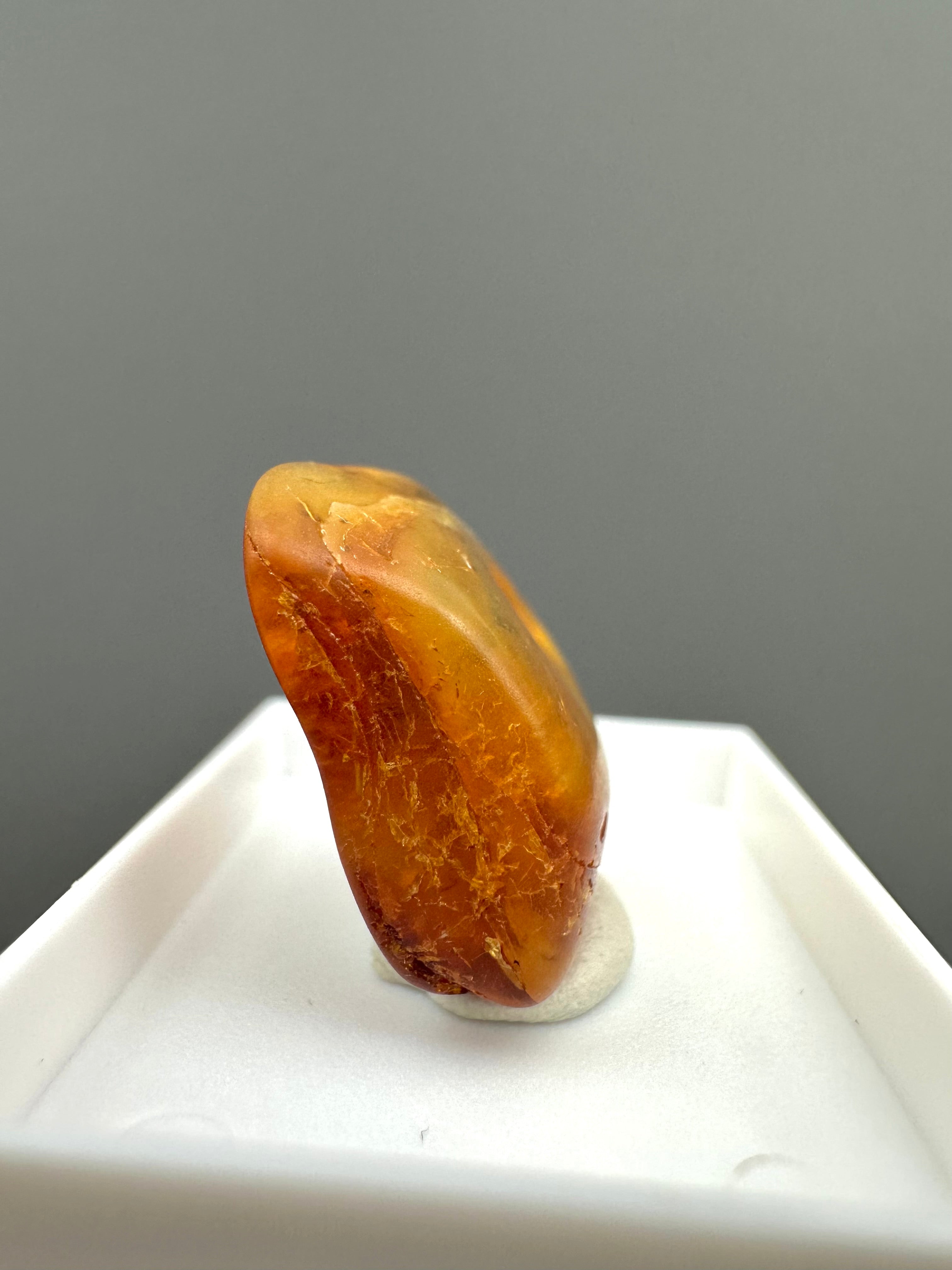 Amber – Gdańsk, Poland - MVK553