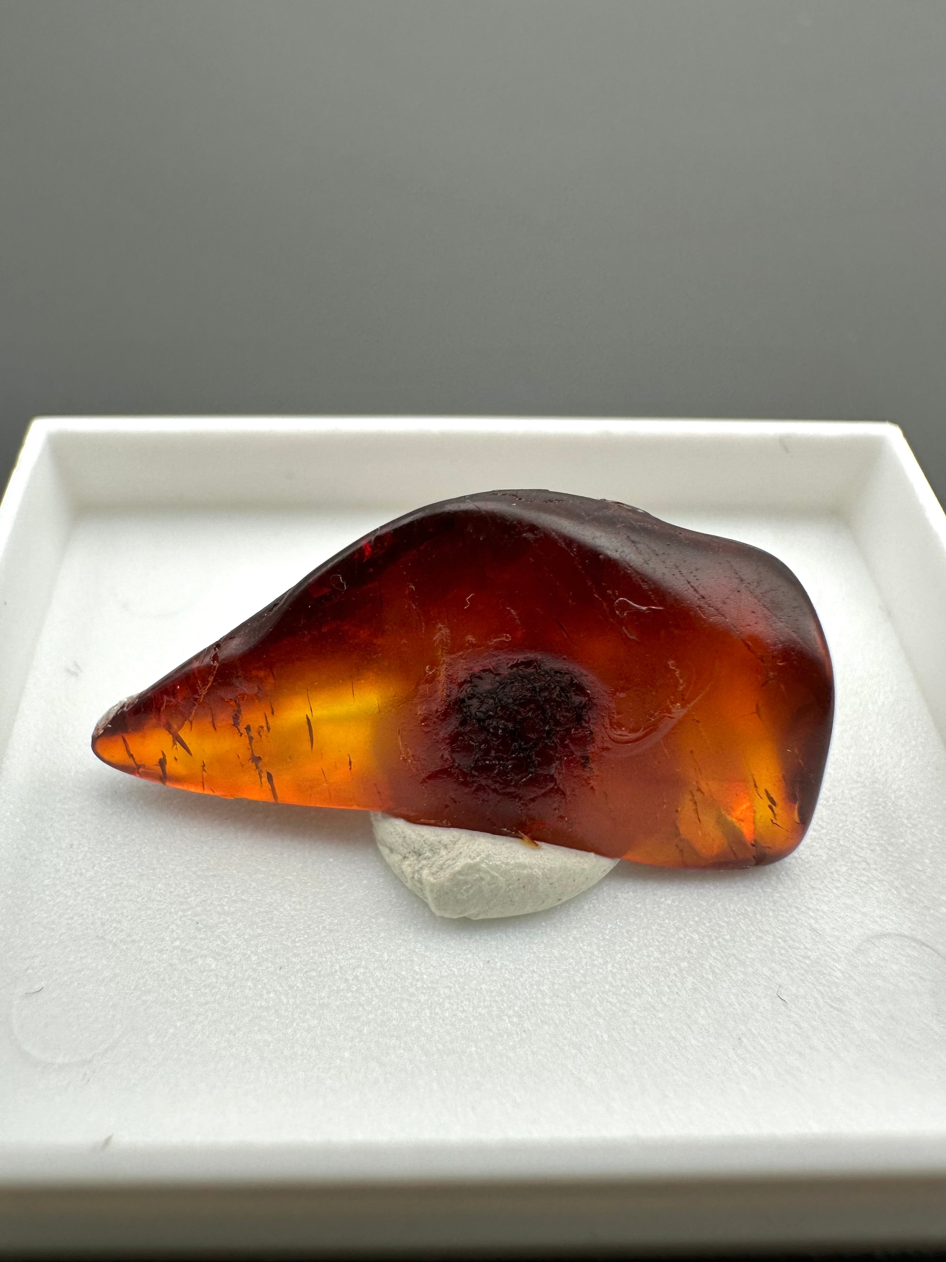 Amber – Gdańsk, Poland - MVK554