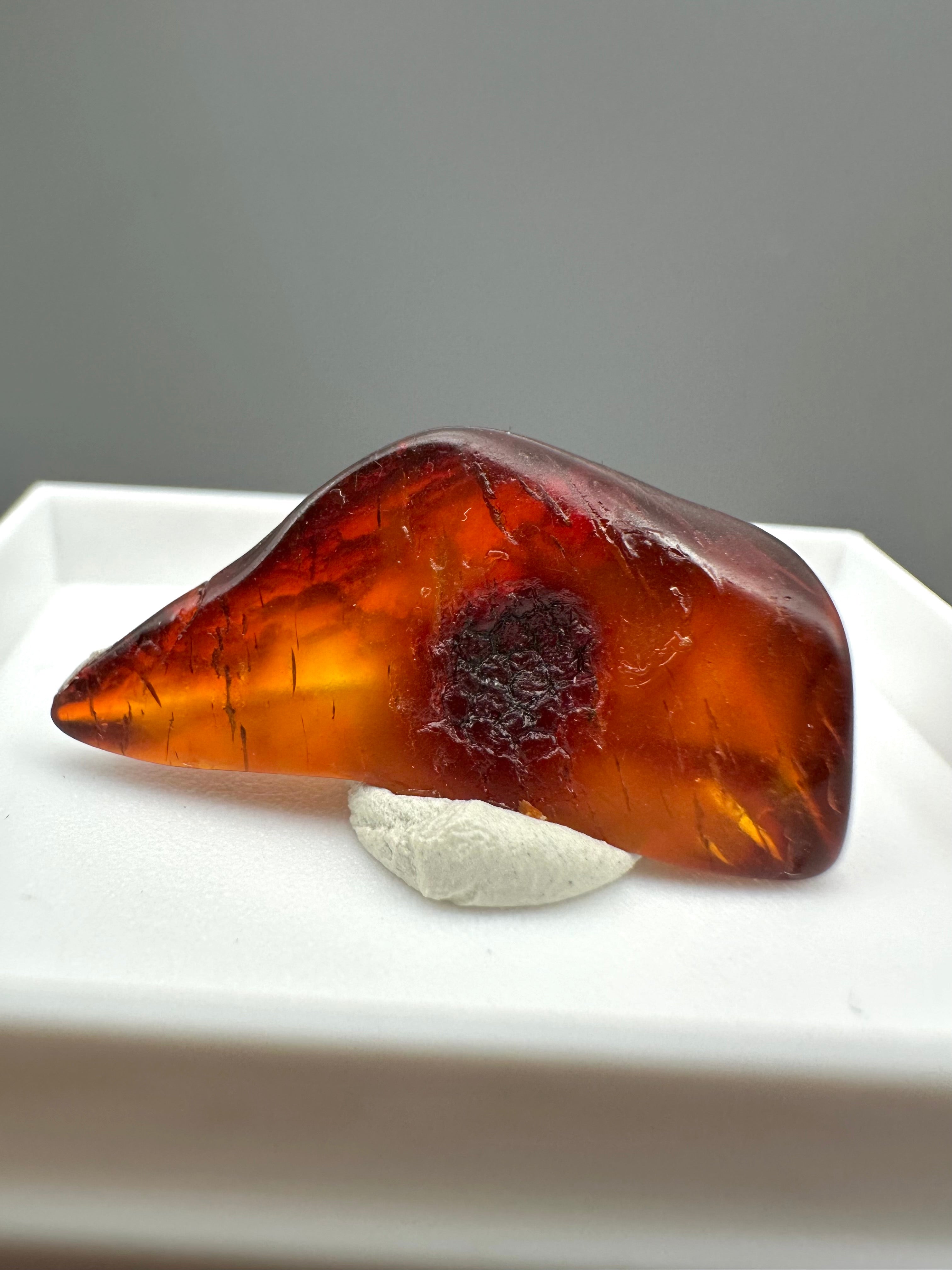 Amber – Gdańsk, Poland - MVK554