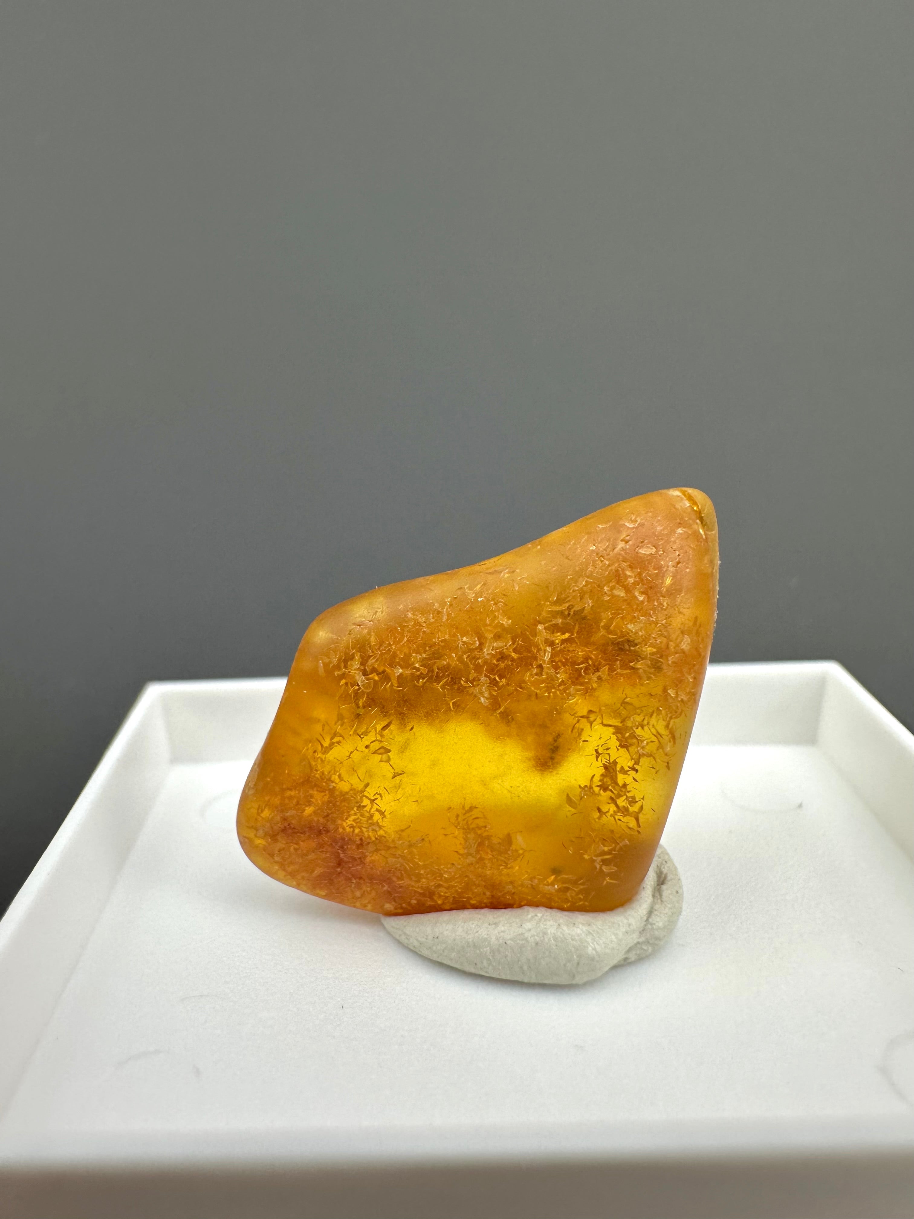 Amber – Gdańsk, Poland - MVK555