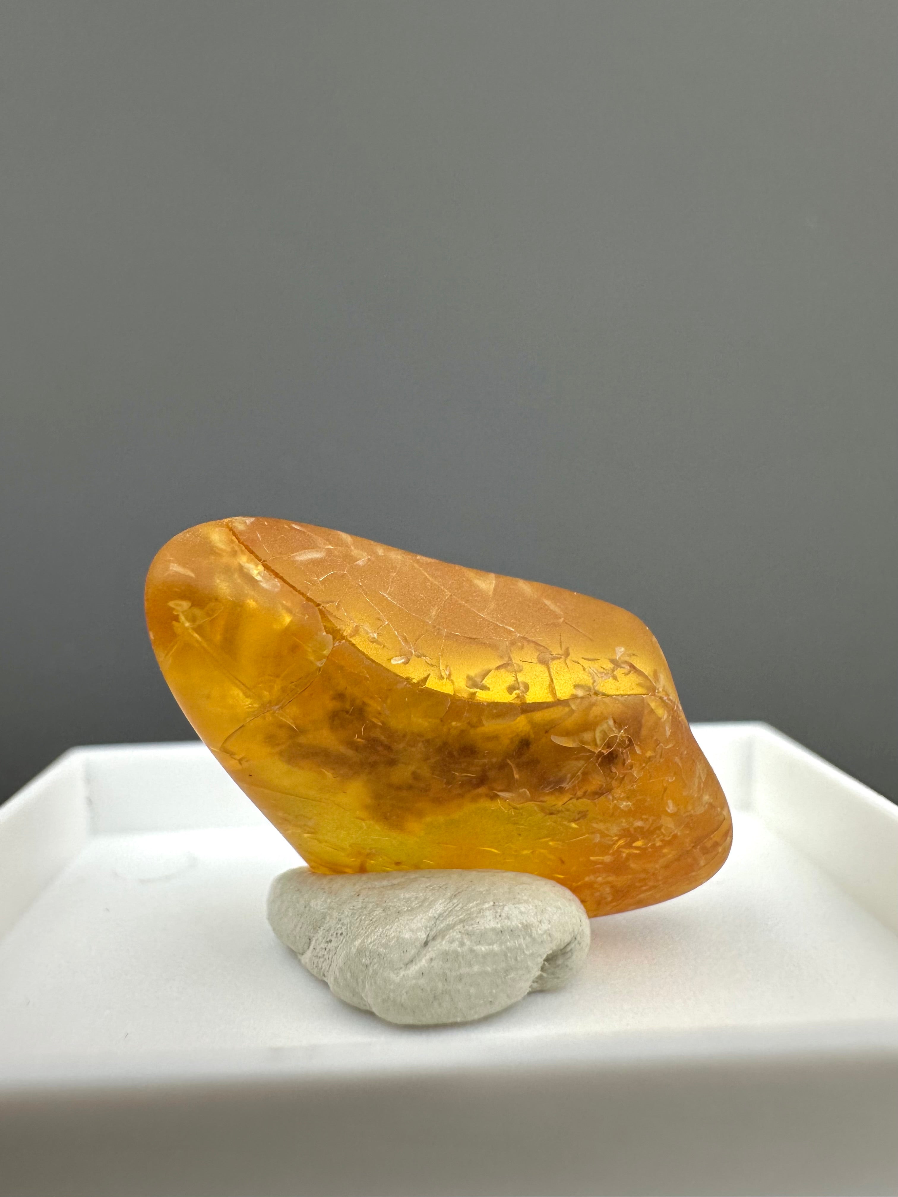 Amber – Gdańsk, Poland - MVK555
