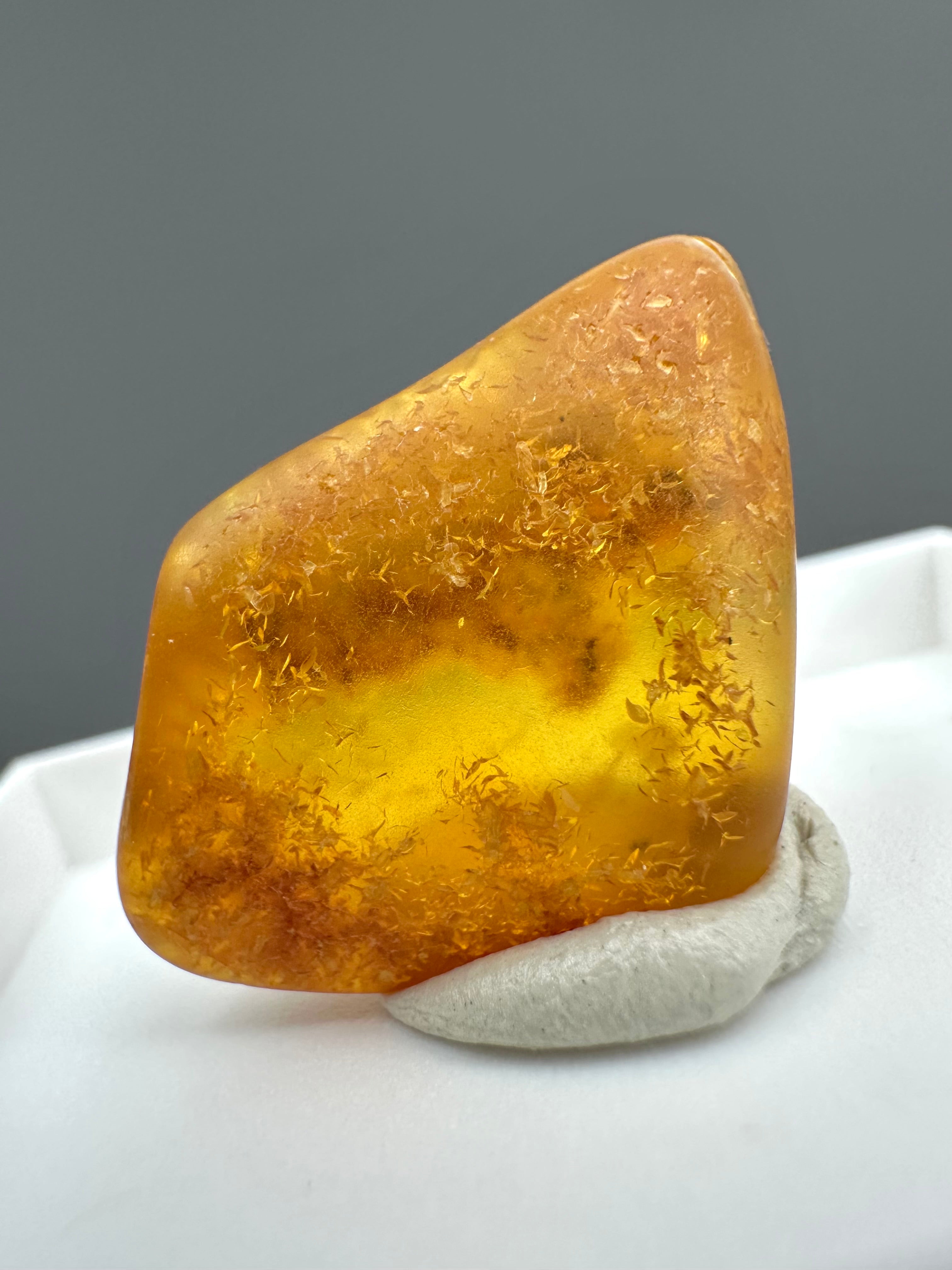 Amber – Gdańsk, Poland - MVK555