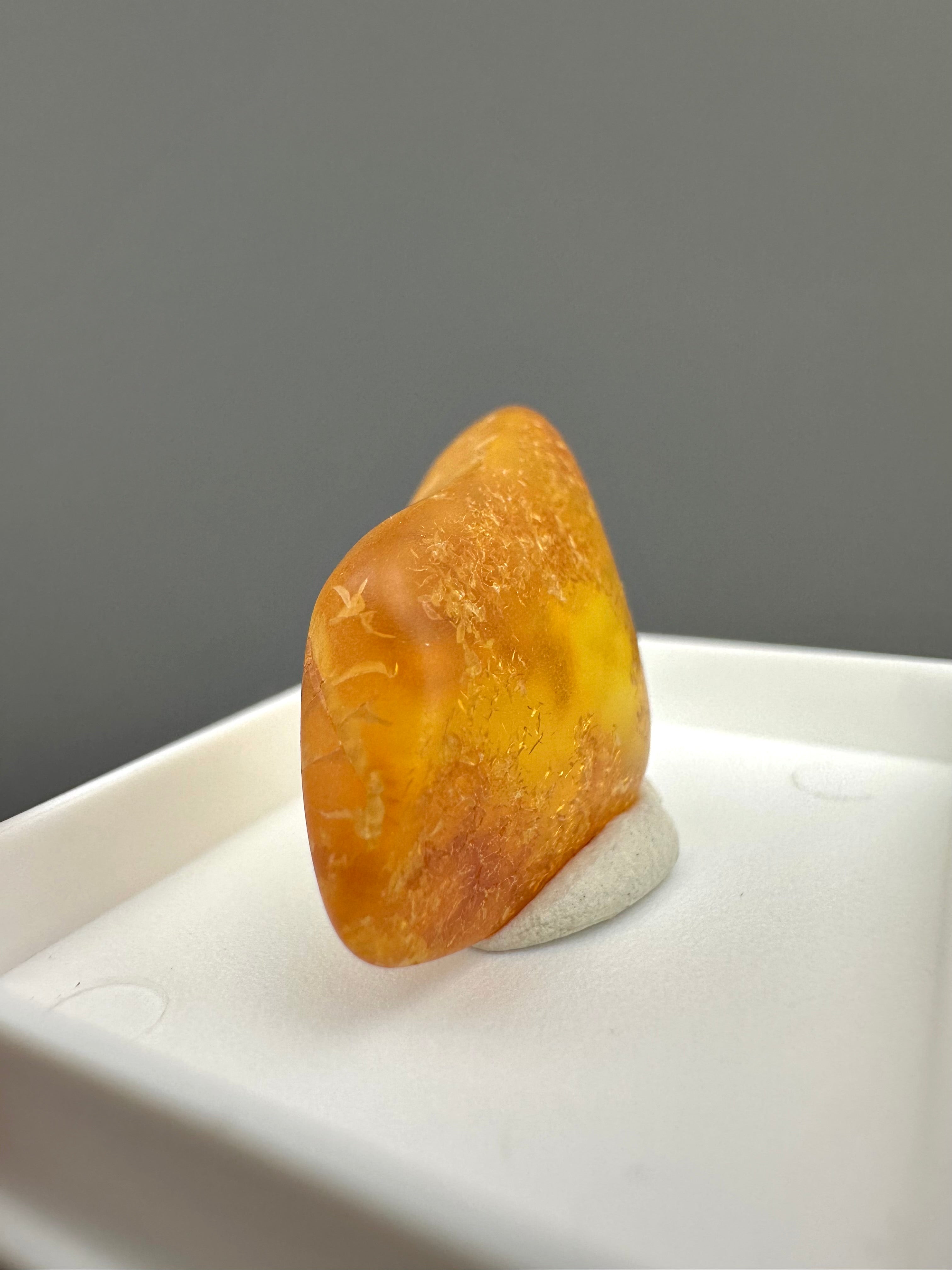 Amber – Gdańsk, Poland - MVK555