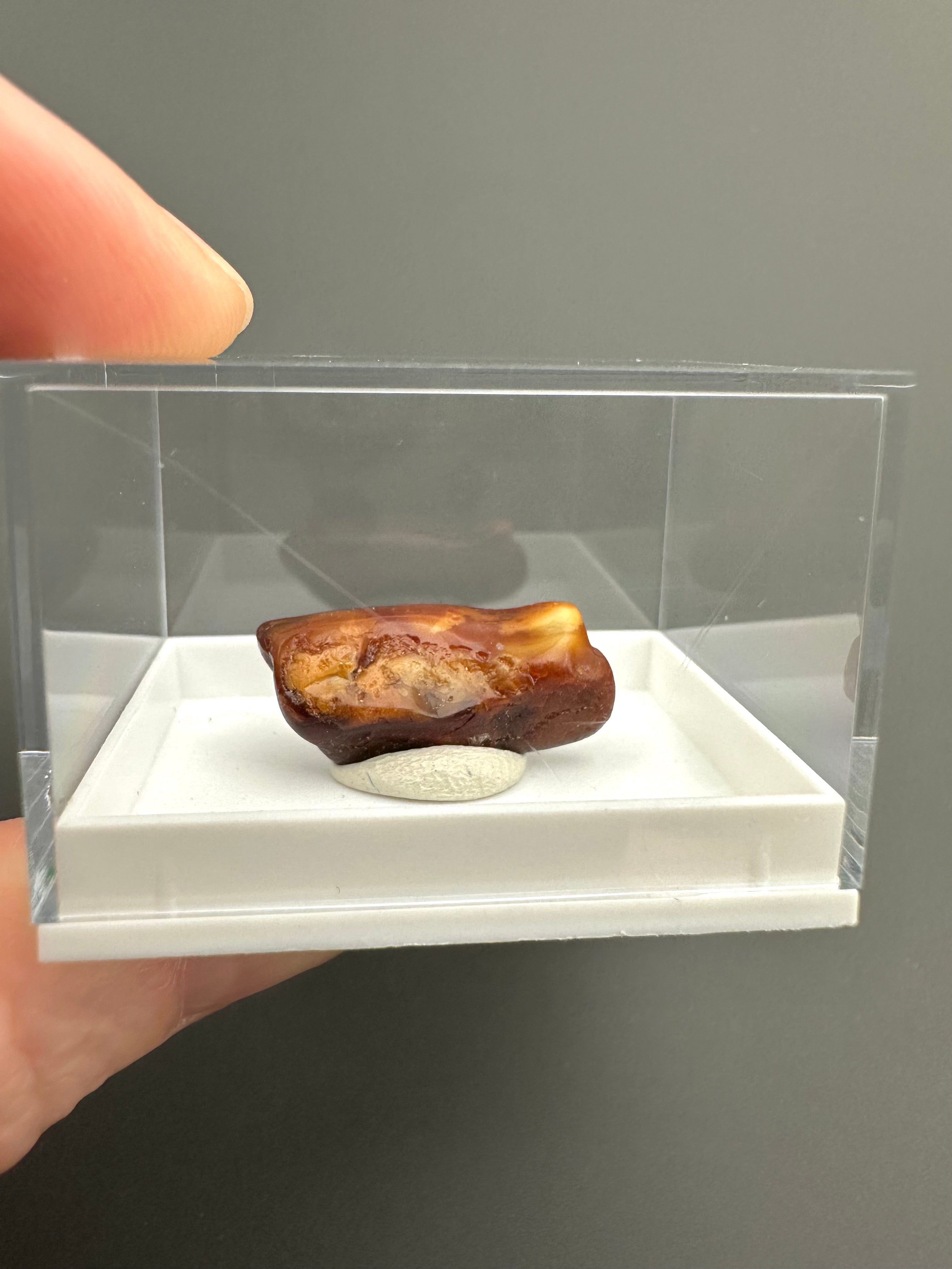 Amber – Gdańsk, Poland