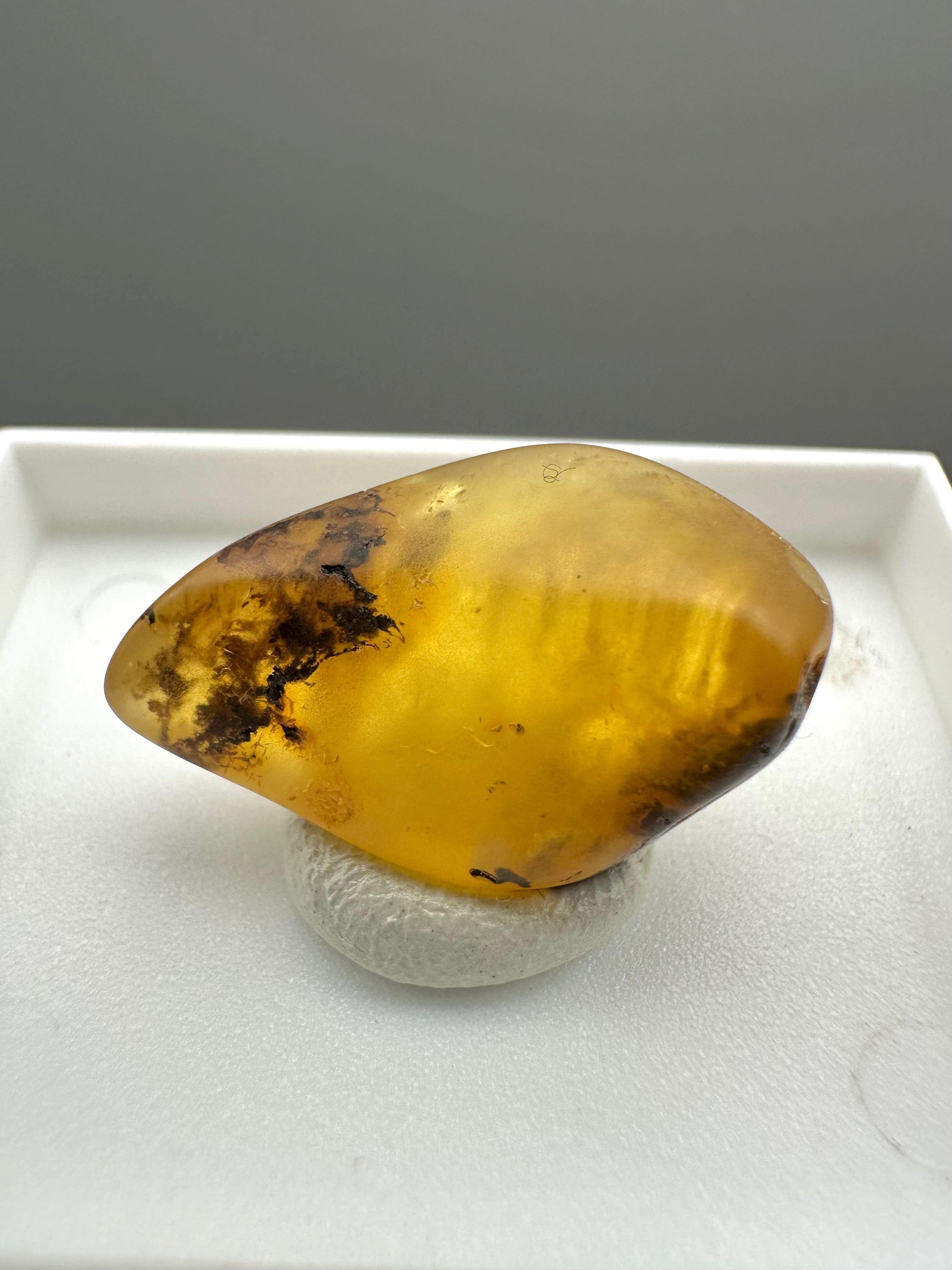 Amber – Gdańsk, Poland - MVK557