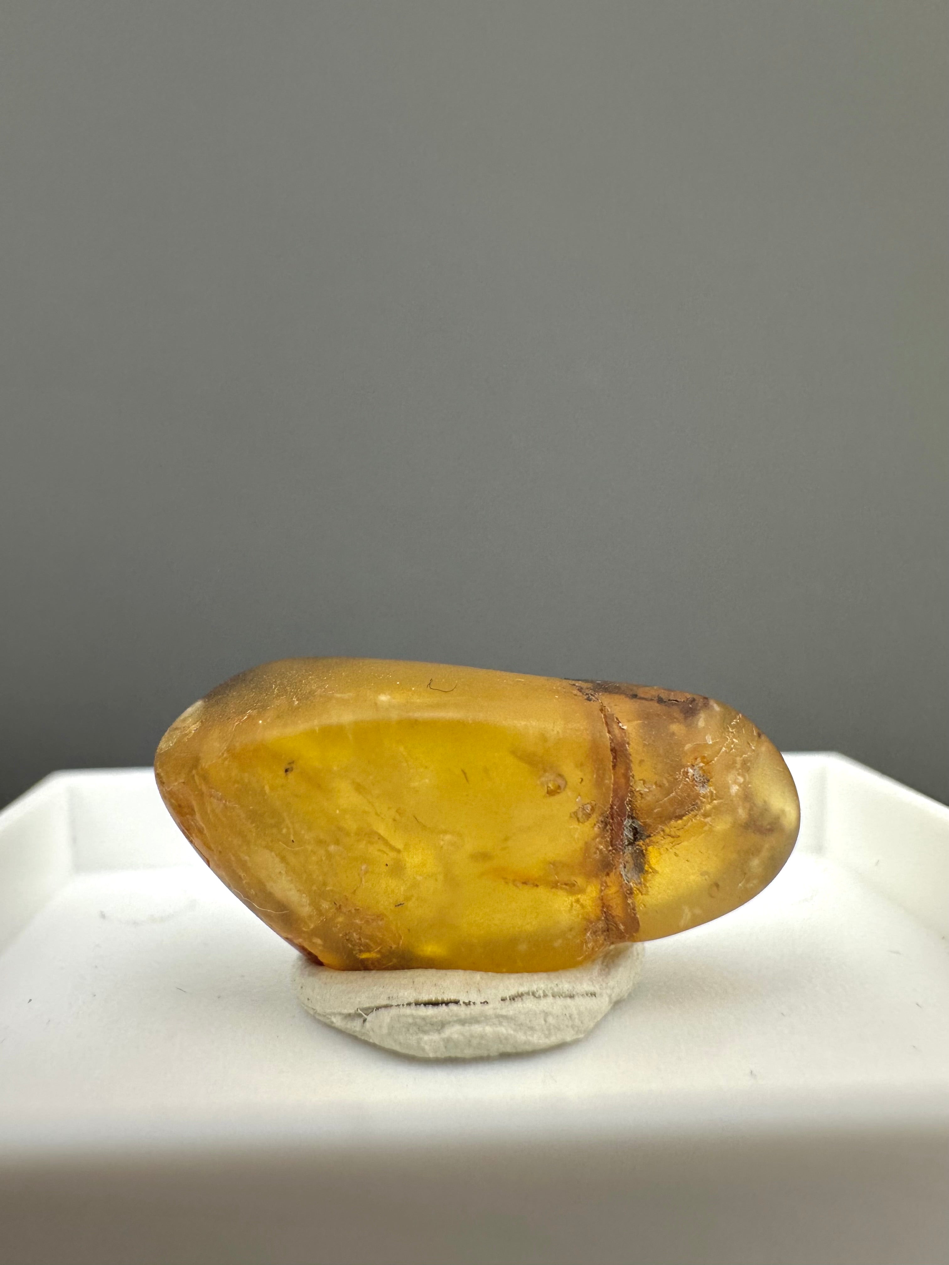 Amber – Gdańsk, Poland - MVK557