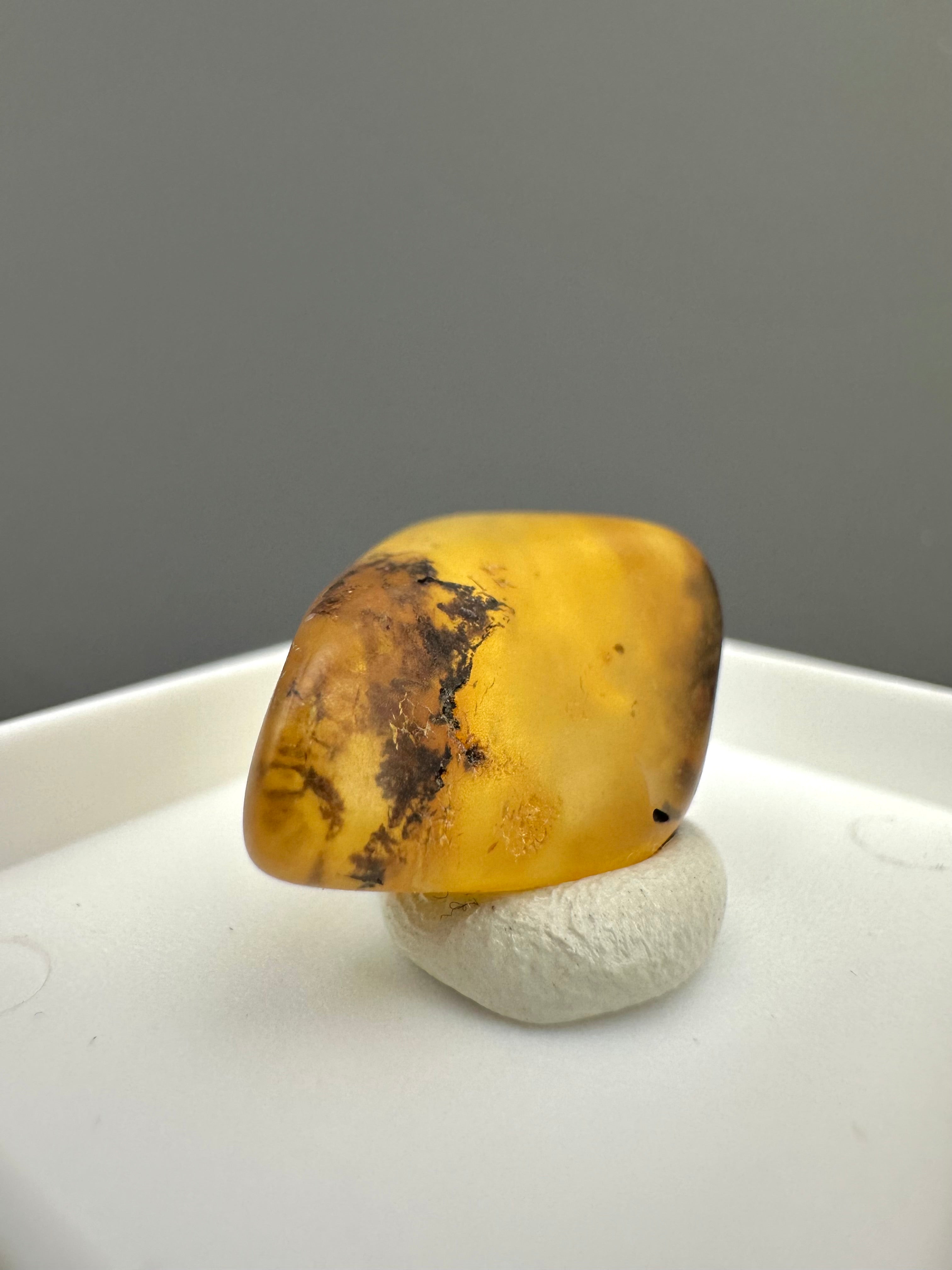 Amber – Gdańsk, Poland - MVK557