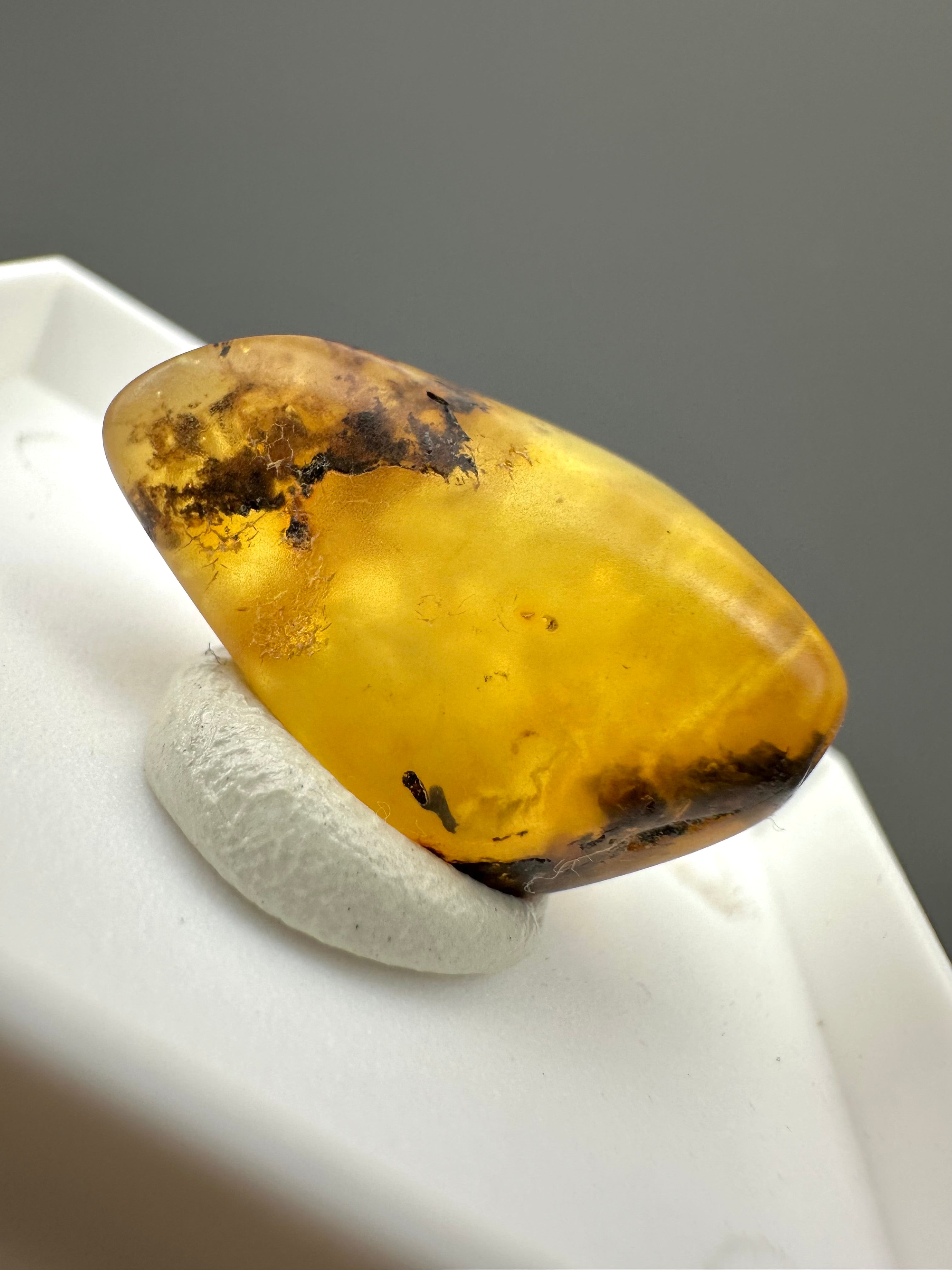 Amber – Gdańsk, Poland - MVK557