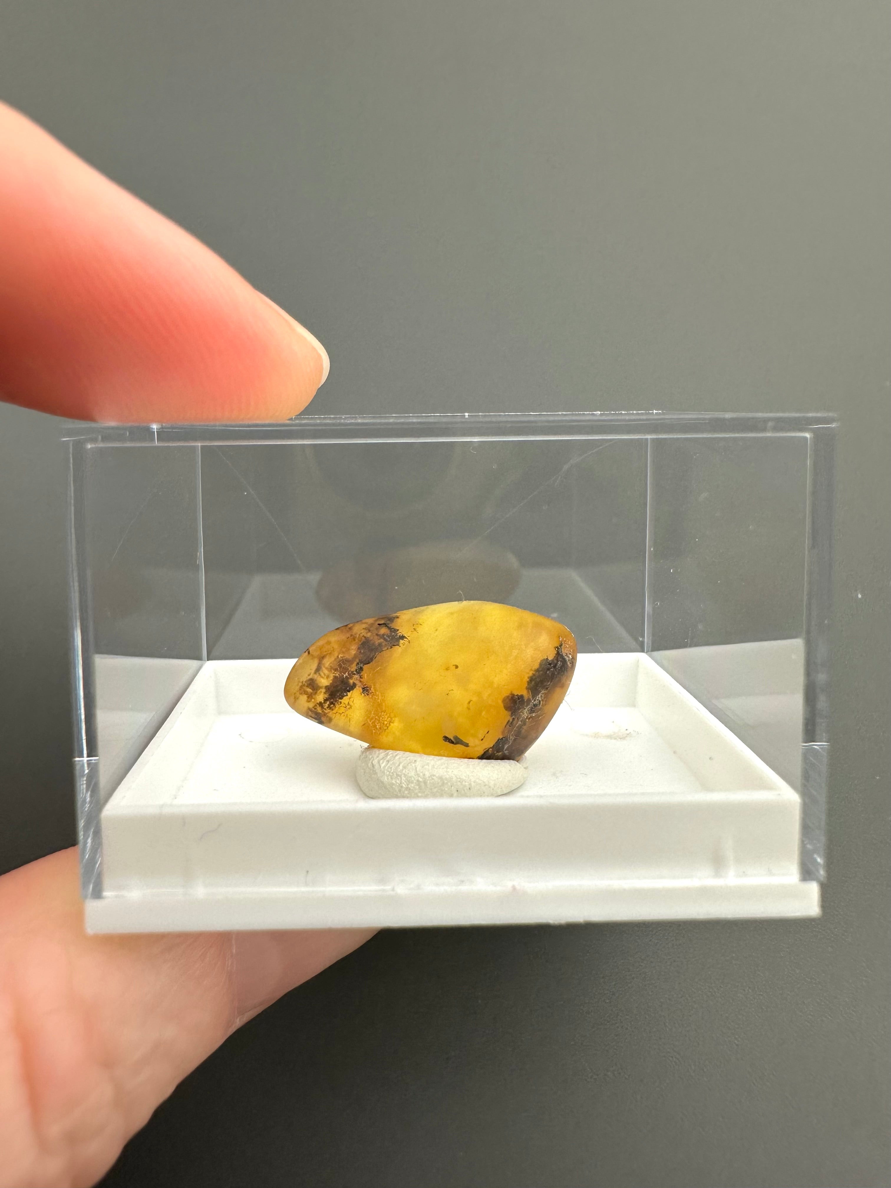 Amber – Gdańsk, Poland