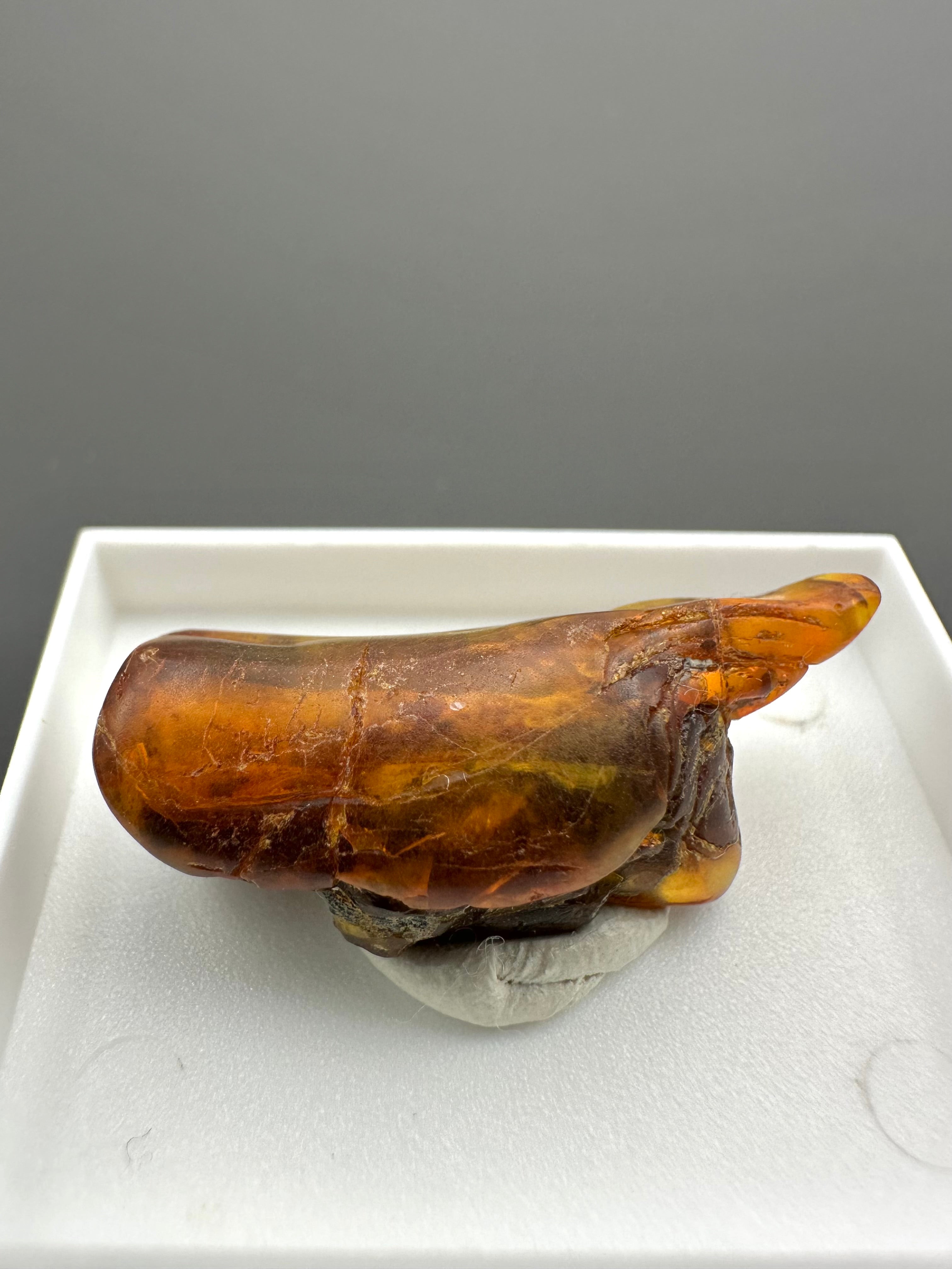 Amber – Gdańsk, Poland - MVK558
