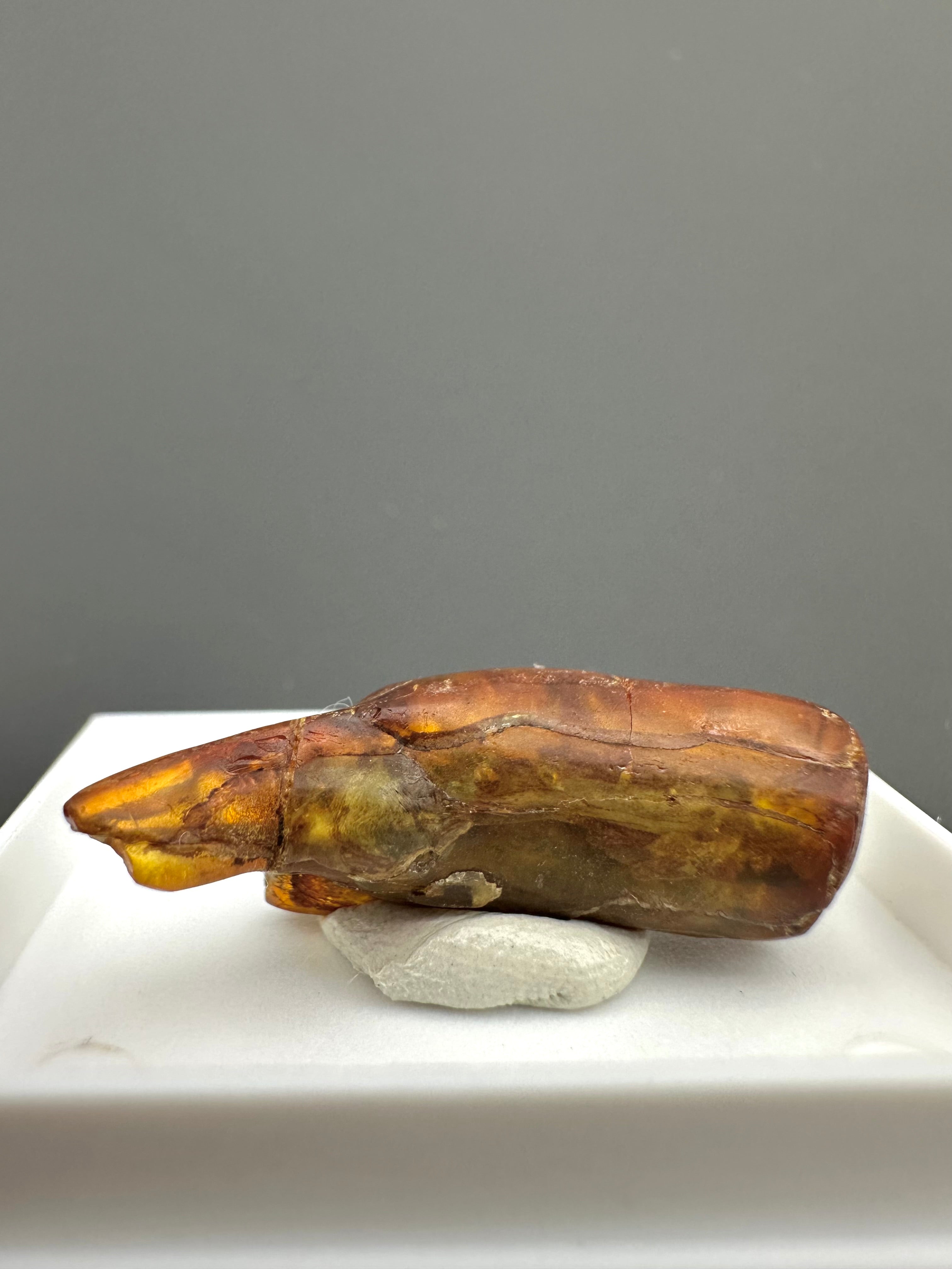 Amber – Gdańsk, Poland - MVK558