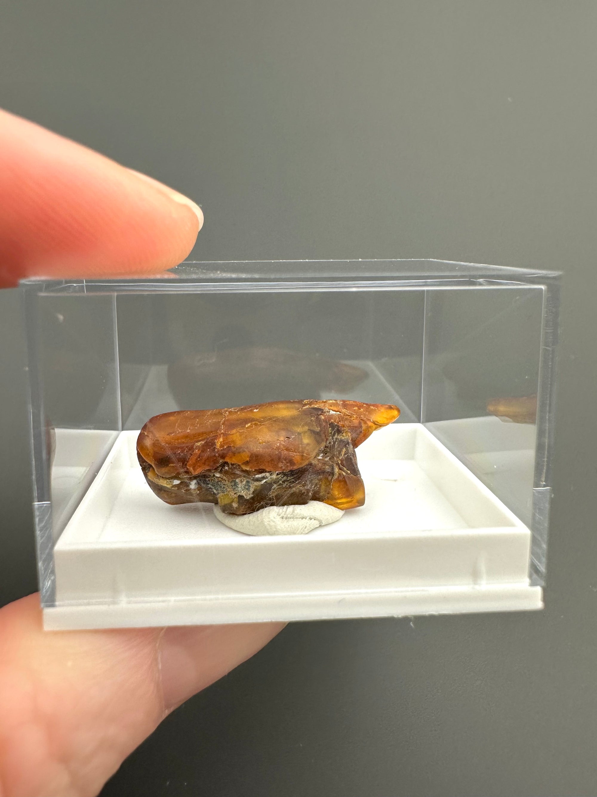 Amber – Gdańsk, Poland