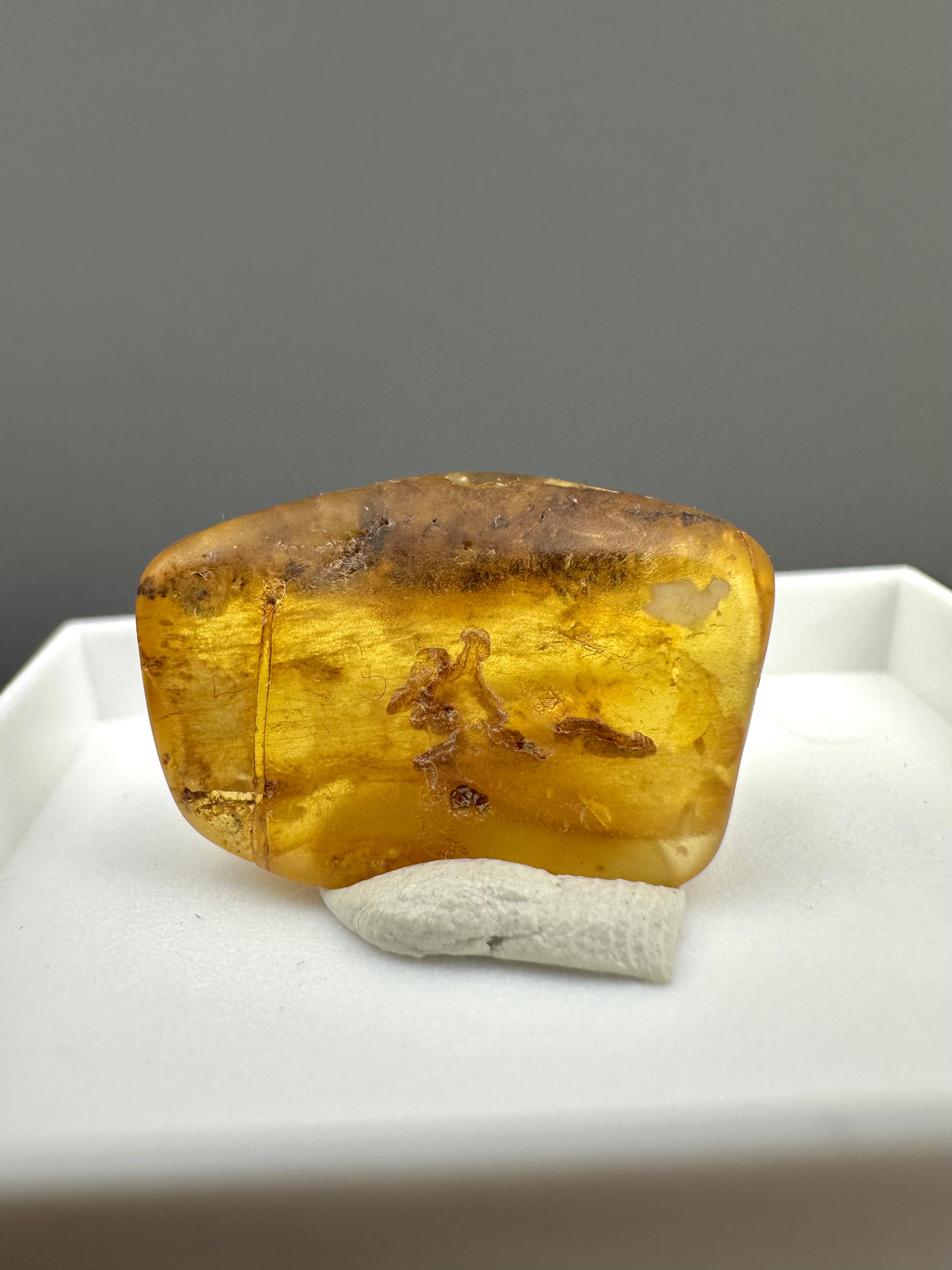 Amber – Gdańsk, Poland - MVK559