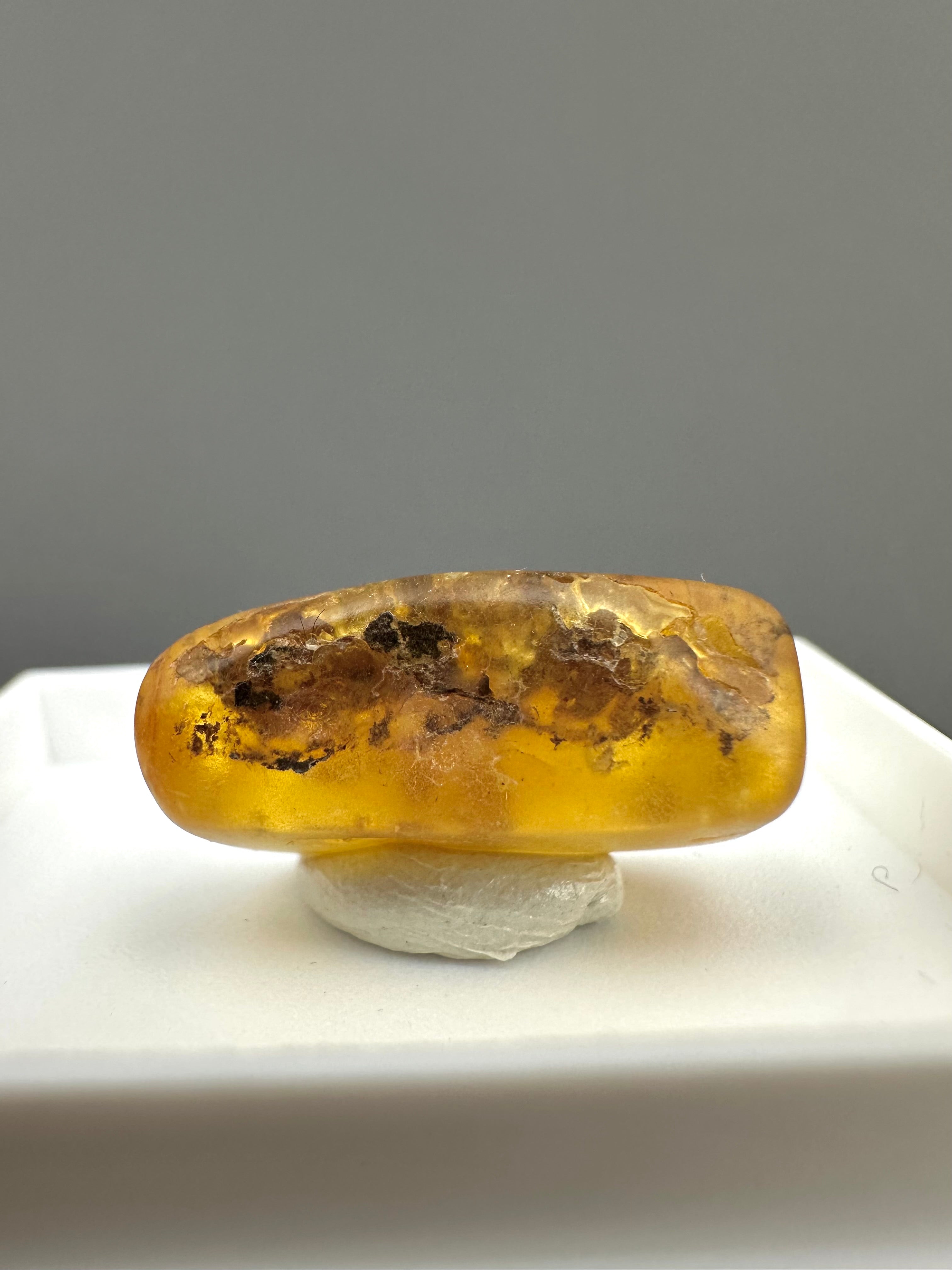 Amber – Gdańsk, Poland - MVK559