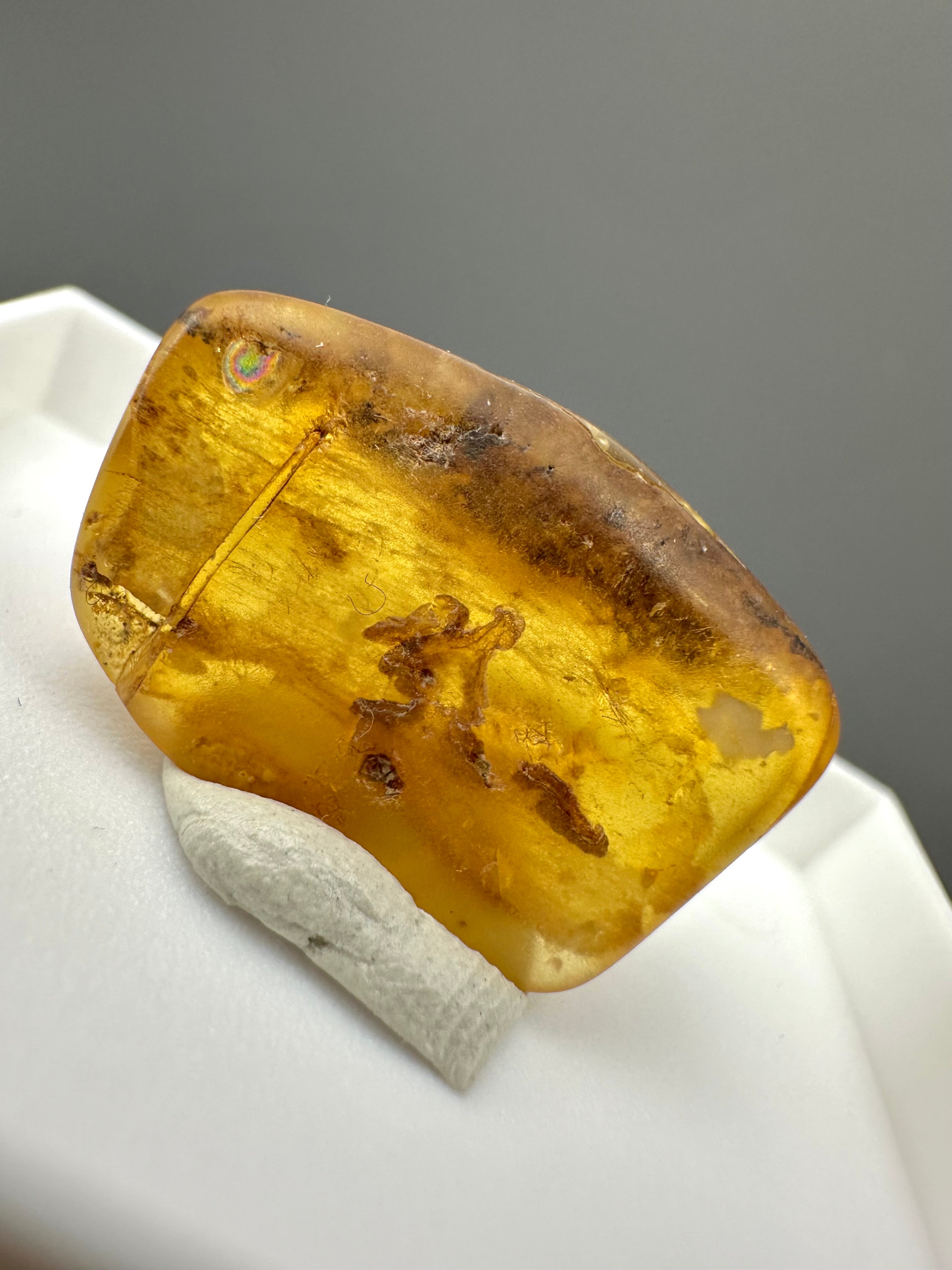 Amber – Gdańsk, Poland - MVK559