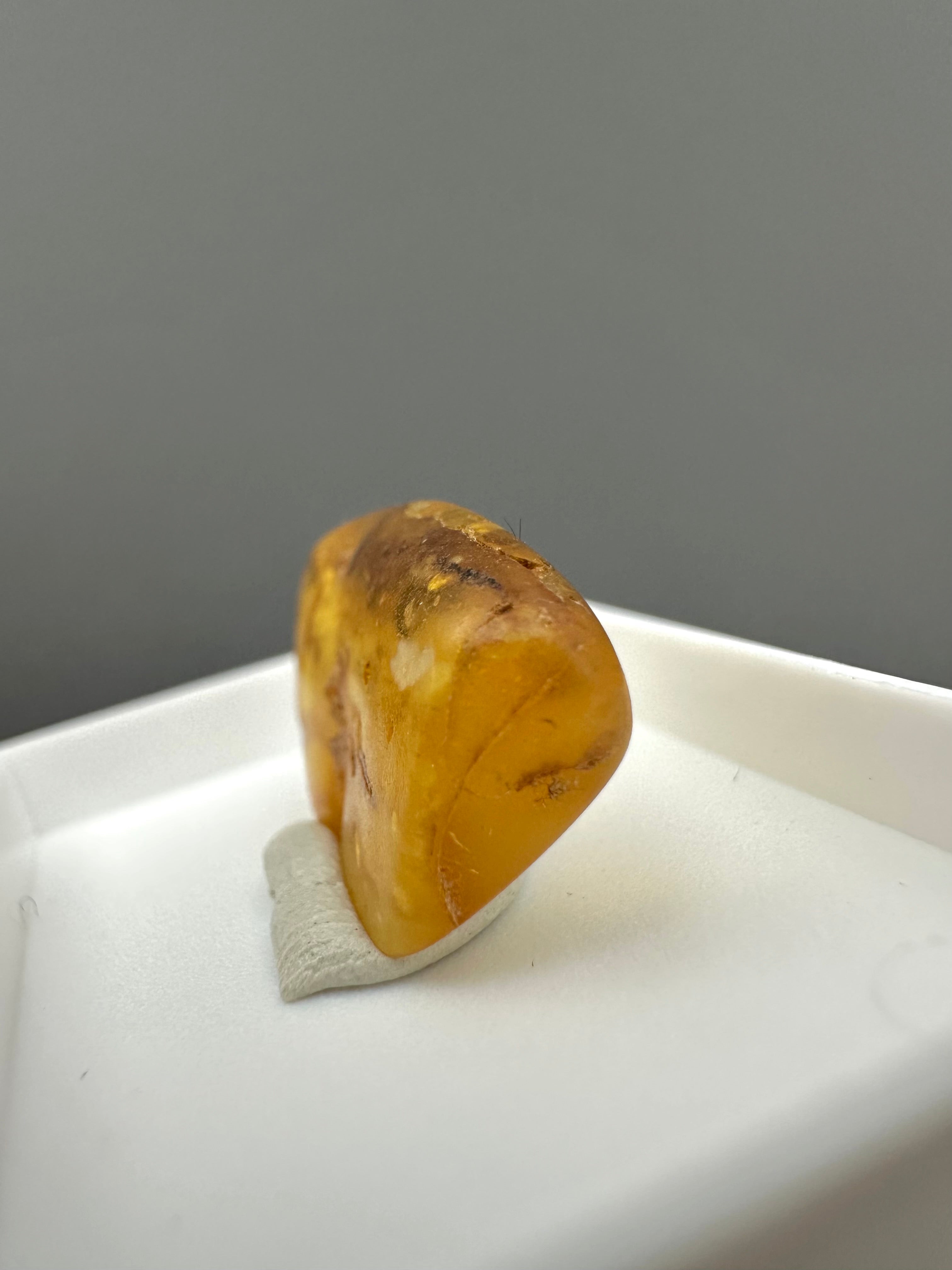 Amber – Gdańsk, Poland - MVK559
