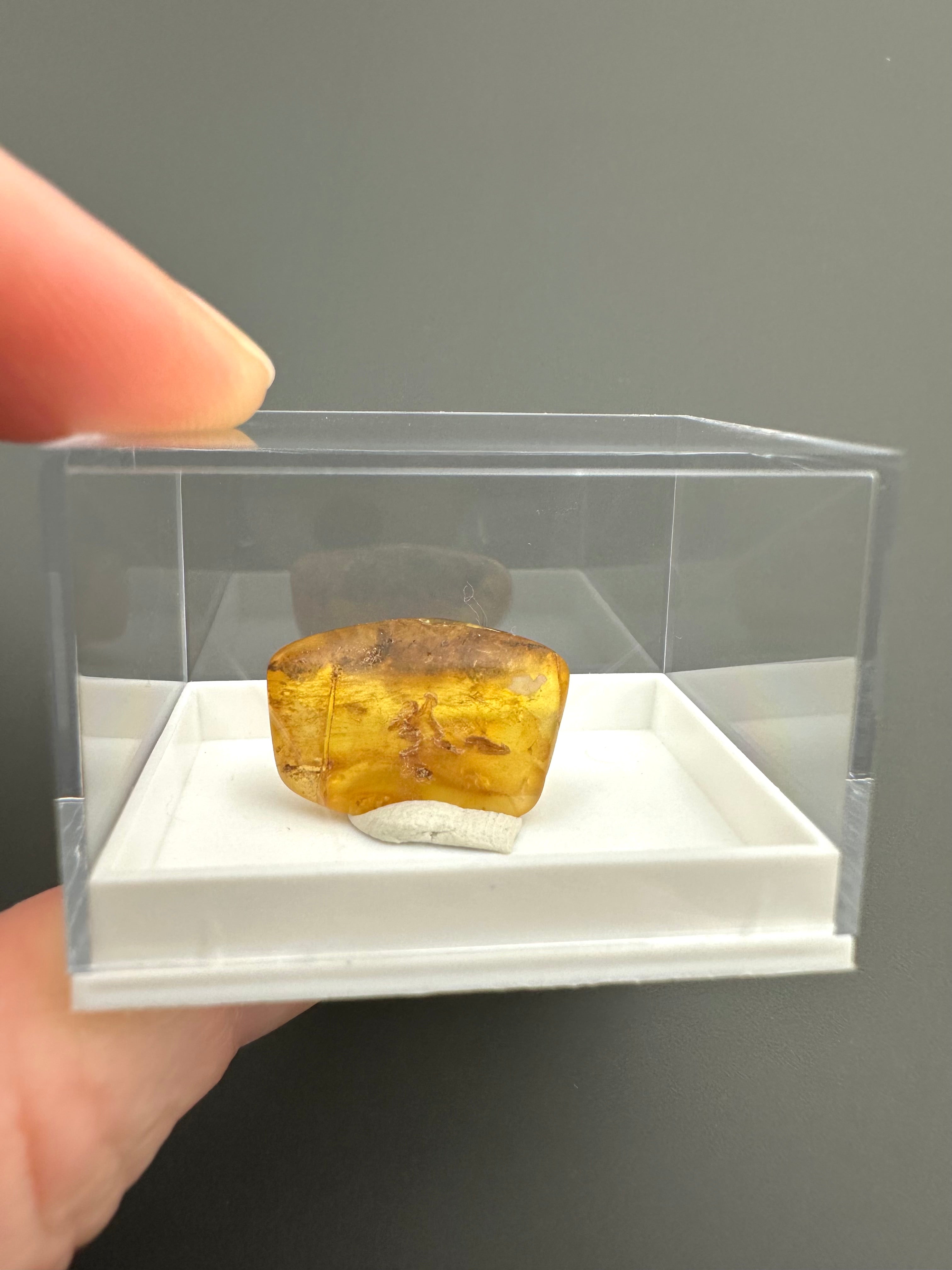 Amber – Gdańsk, Poland