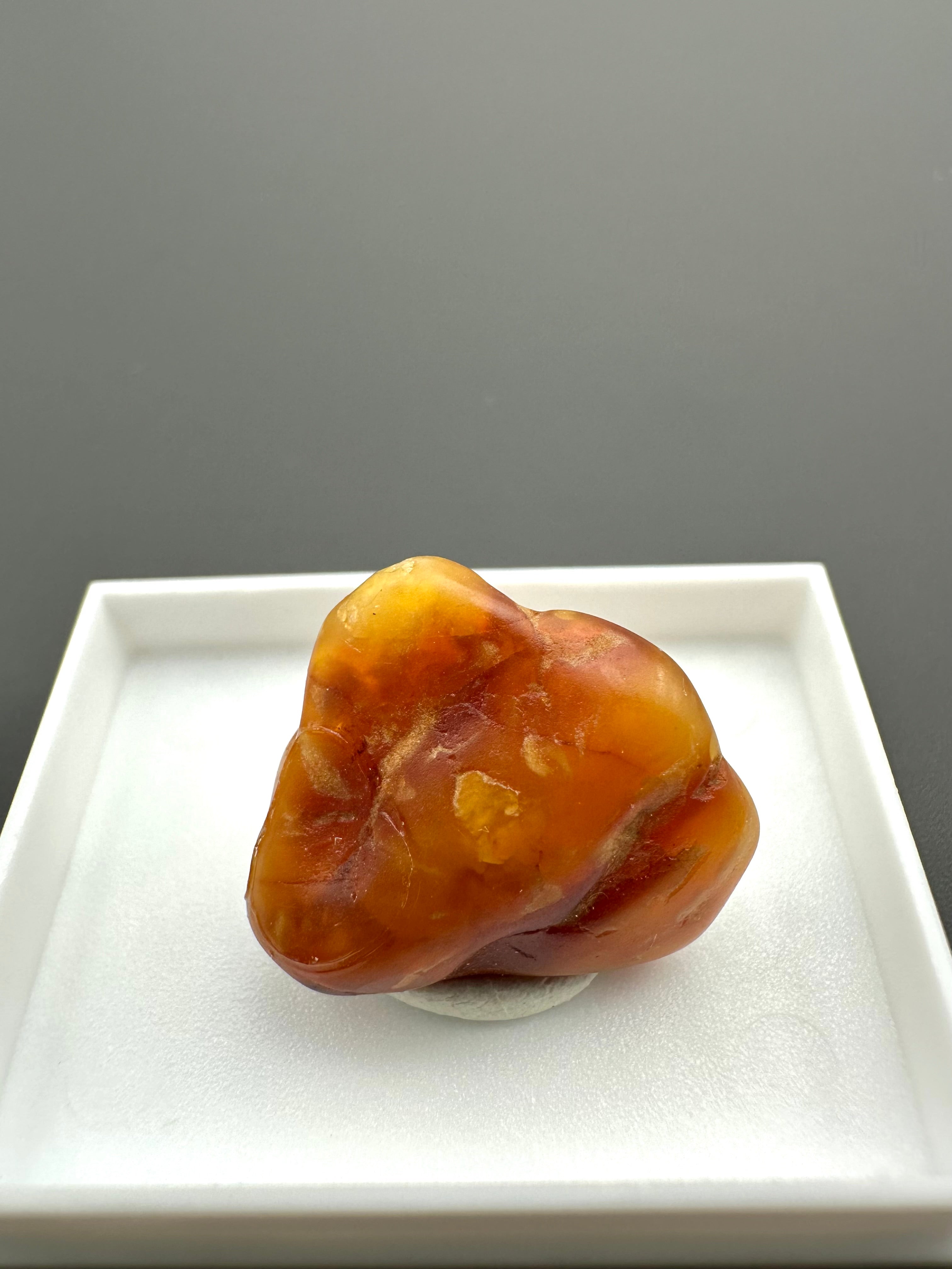 Amber – Gdańsk, Poland - MVK560