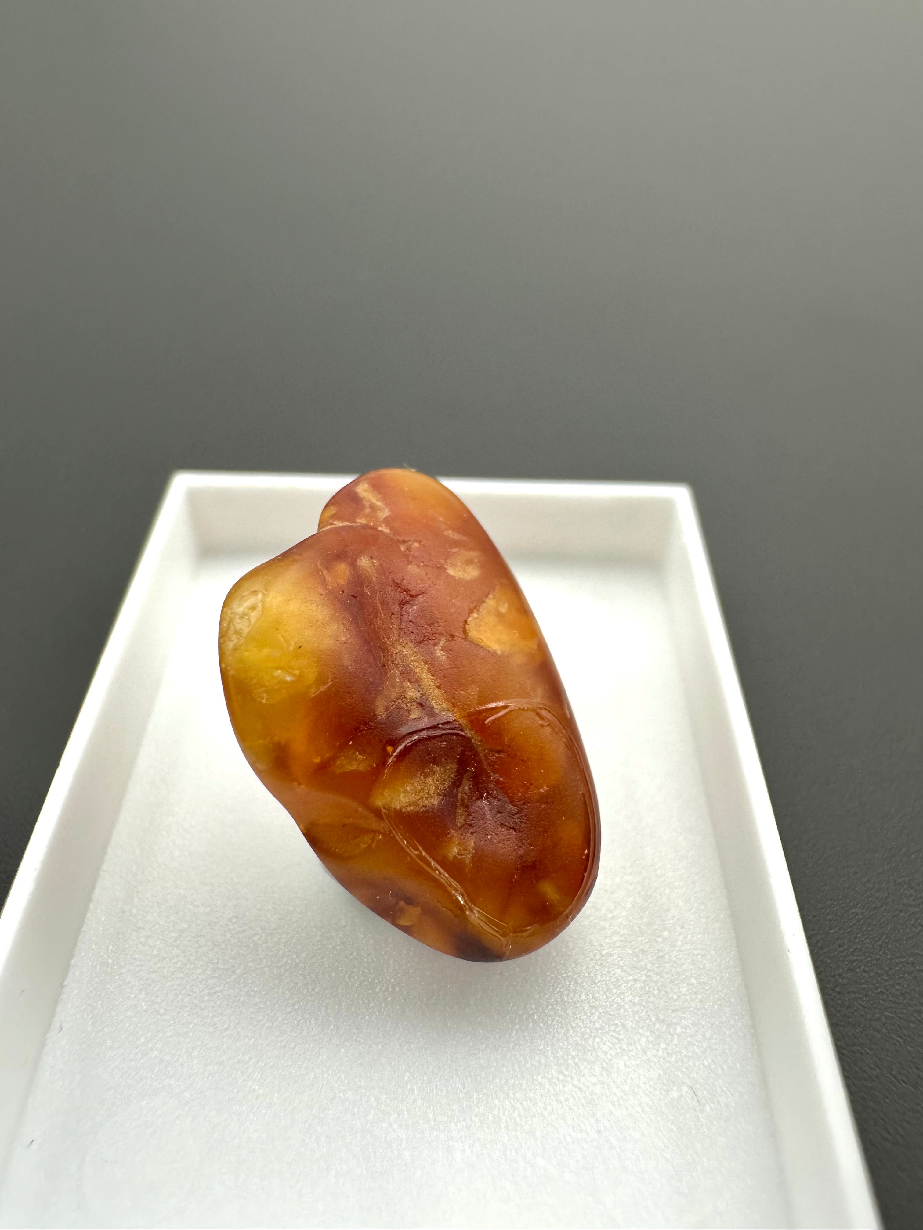 Amber – Gdańsk, Poland - MVK560