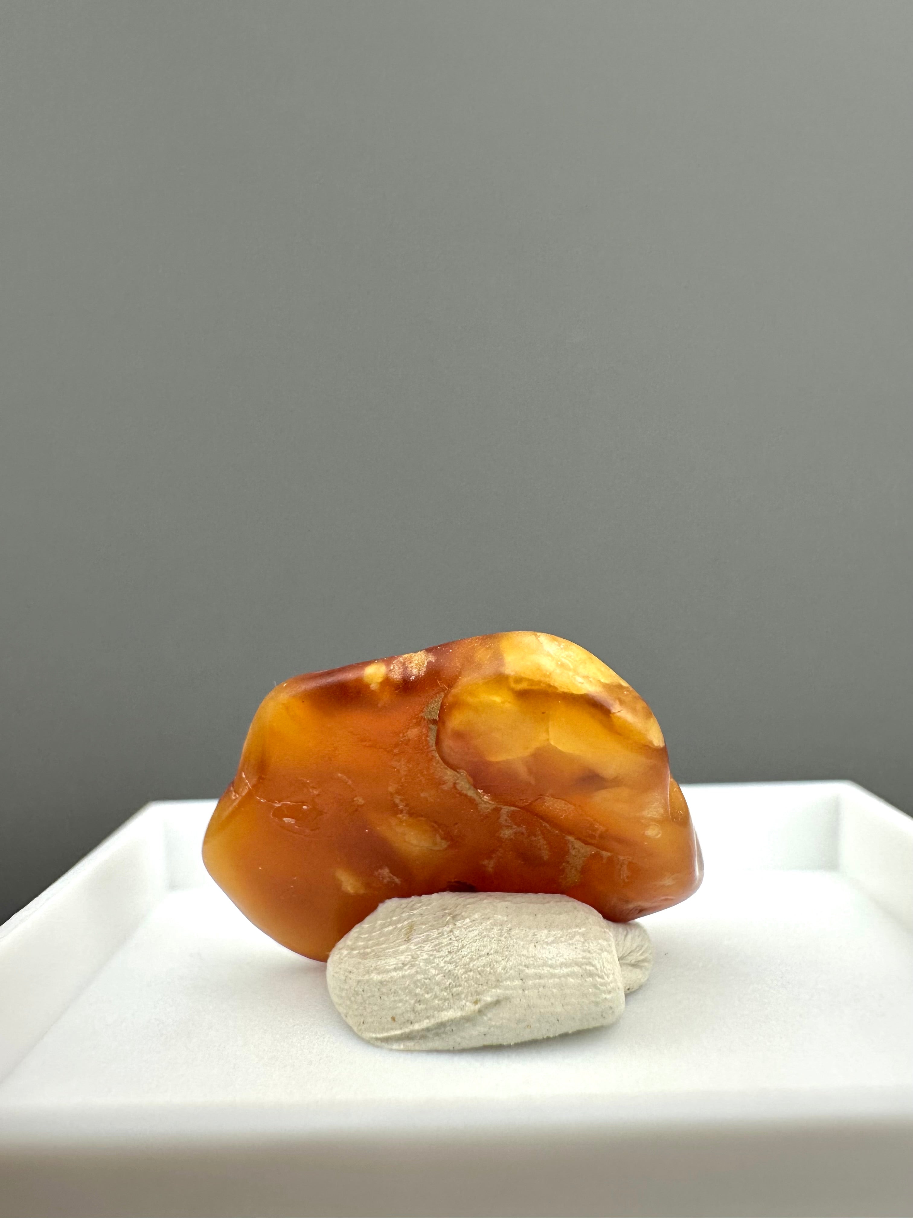 Amber – Gdańsk, Poland - MVK560