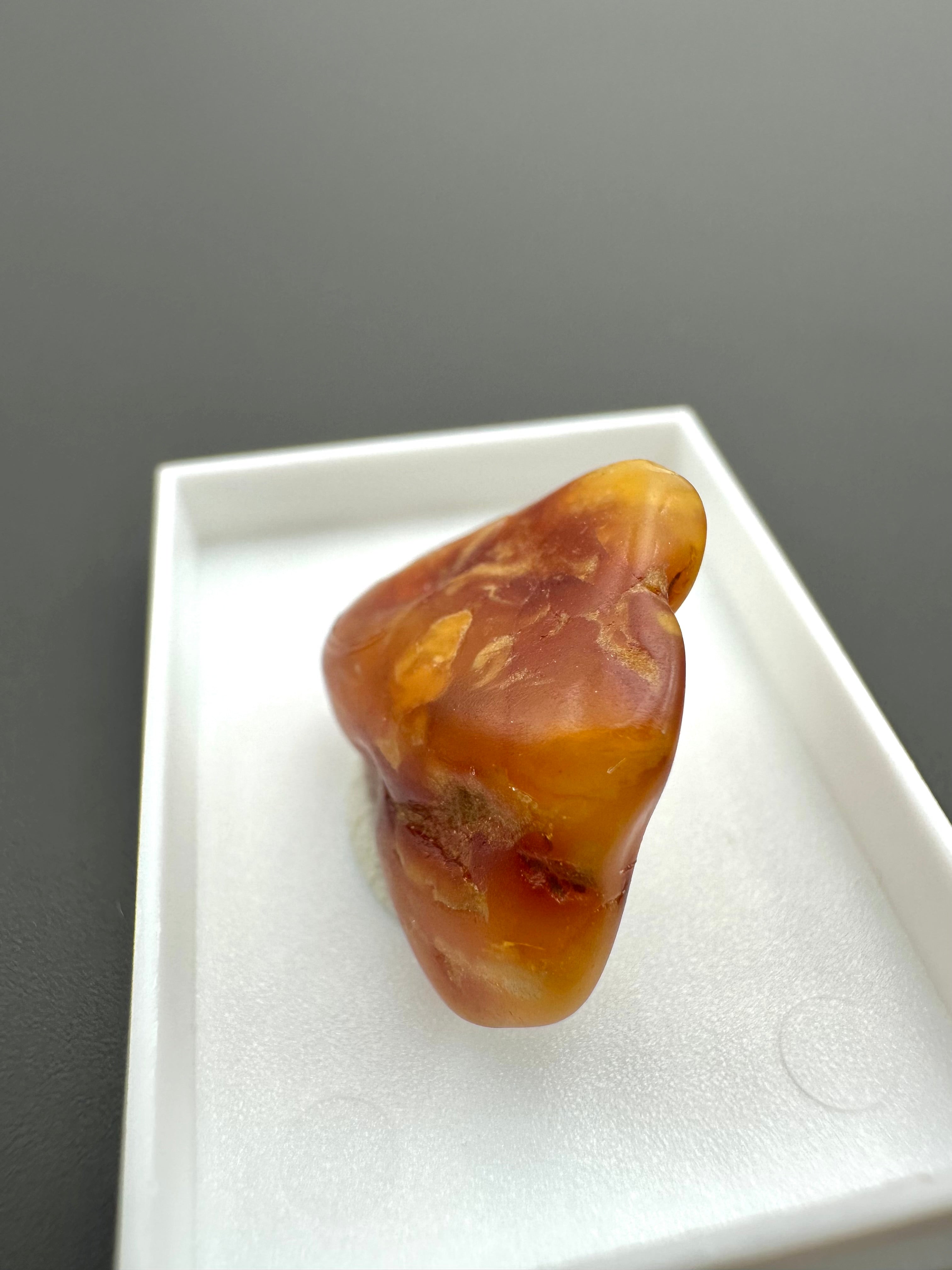 Amber – Gdańsk, Poland - MVK560