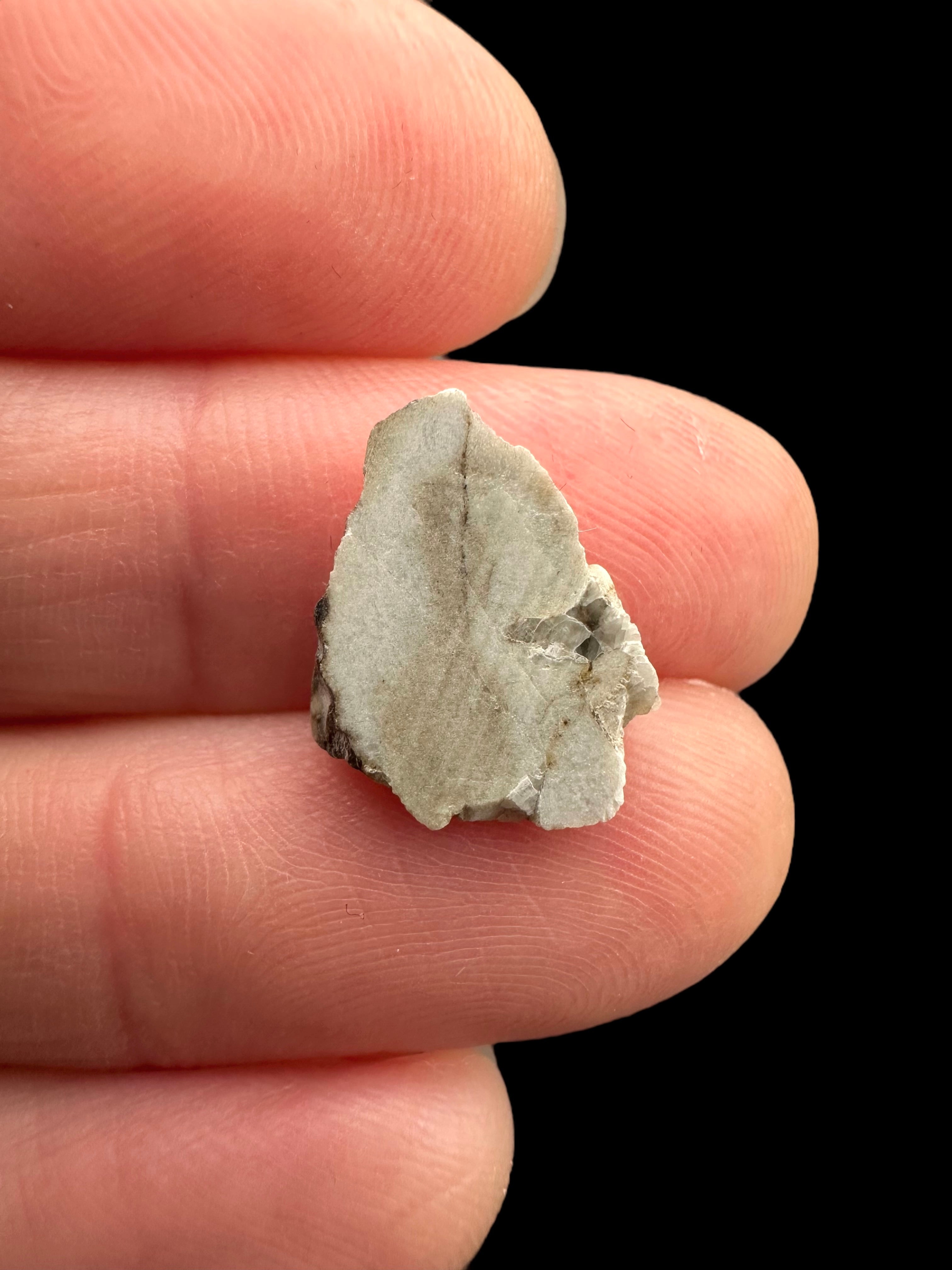 Meteorite Djoua 001 – 0,6g – Algeria - MEDJ14