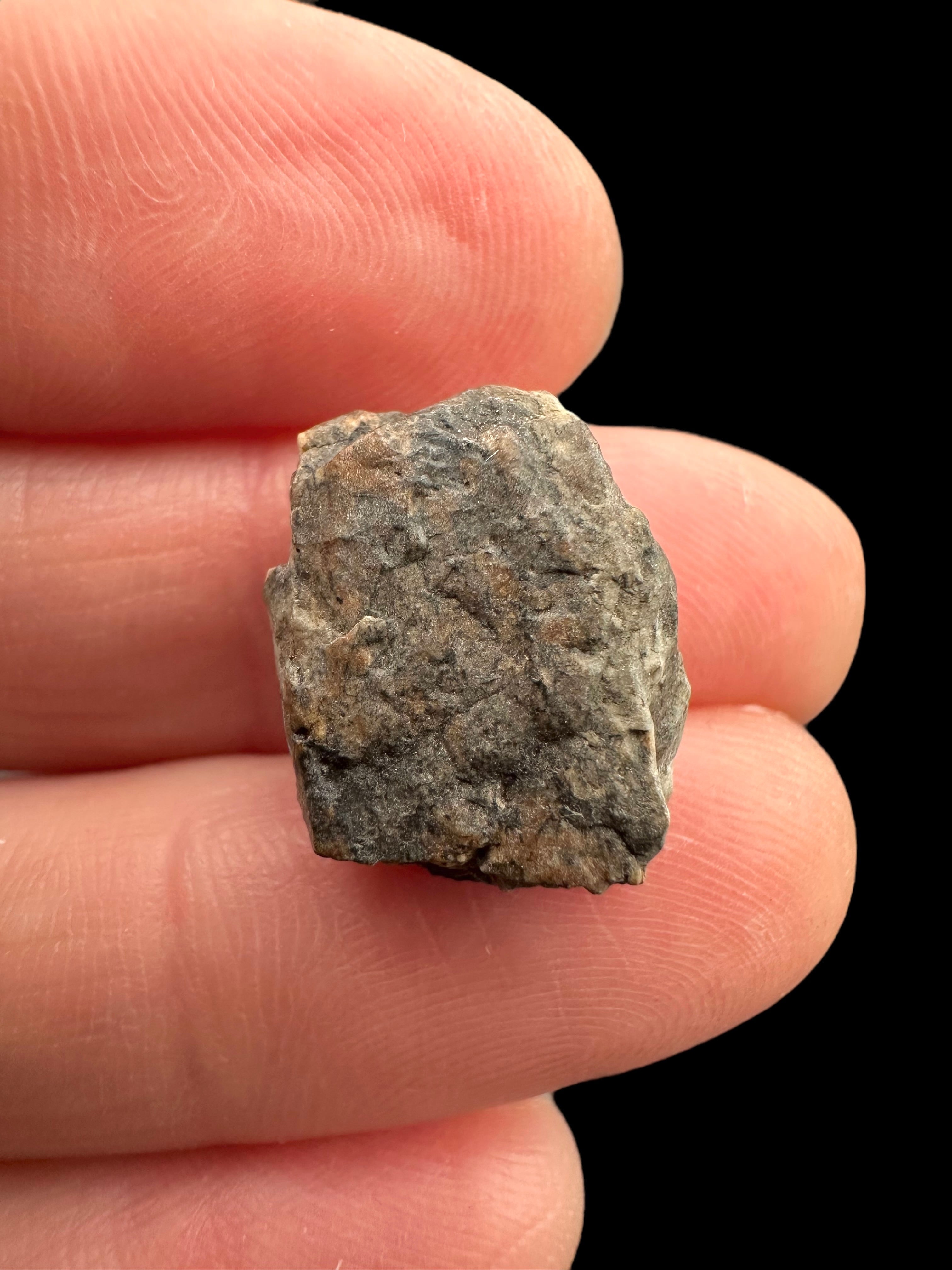 Meteorite Djoua 001 – 2,1g – Algeria - MEDJ16