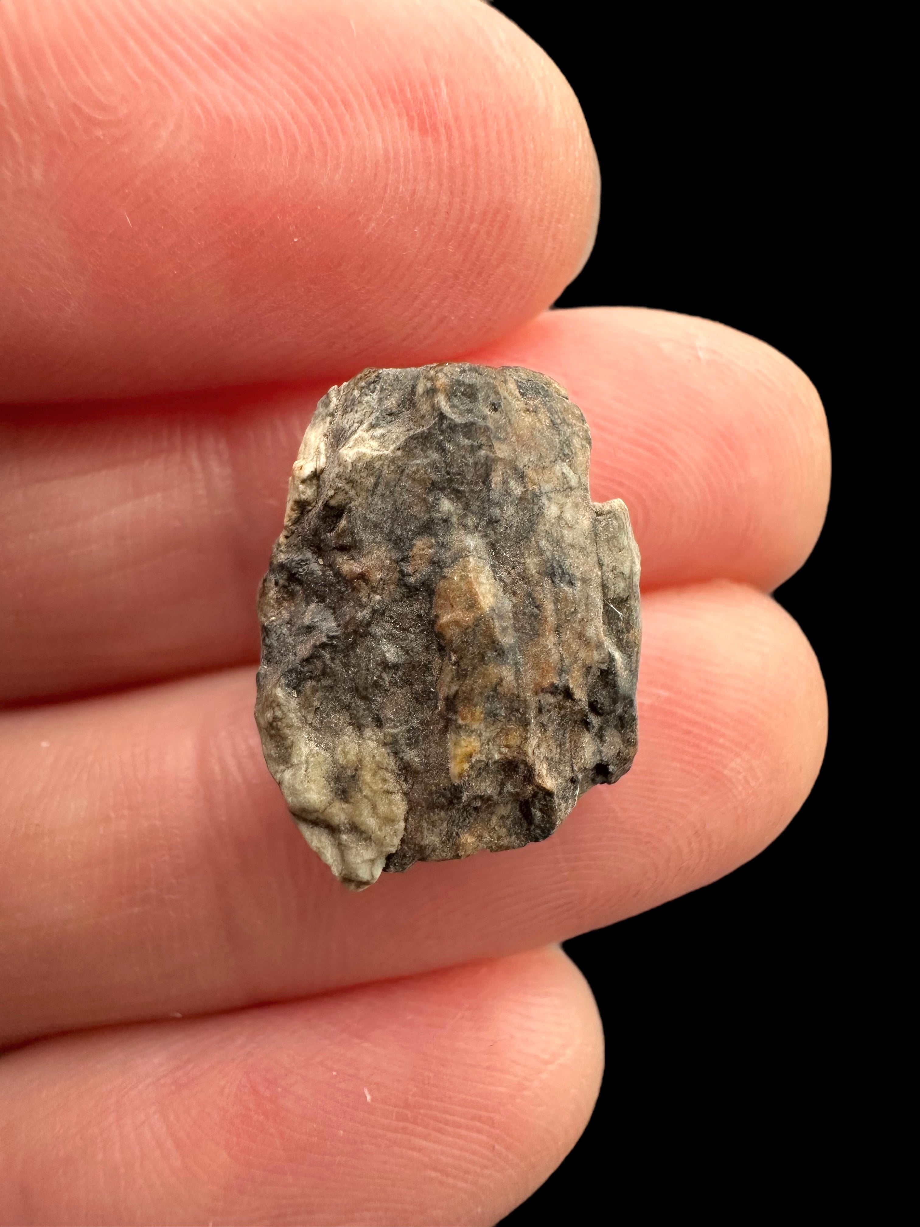 Meteorite Djoua 001 – 2,1g – Algeria - MEDJ16