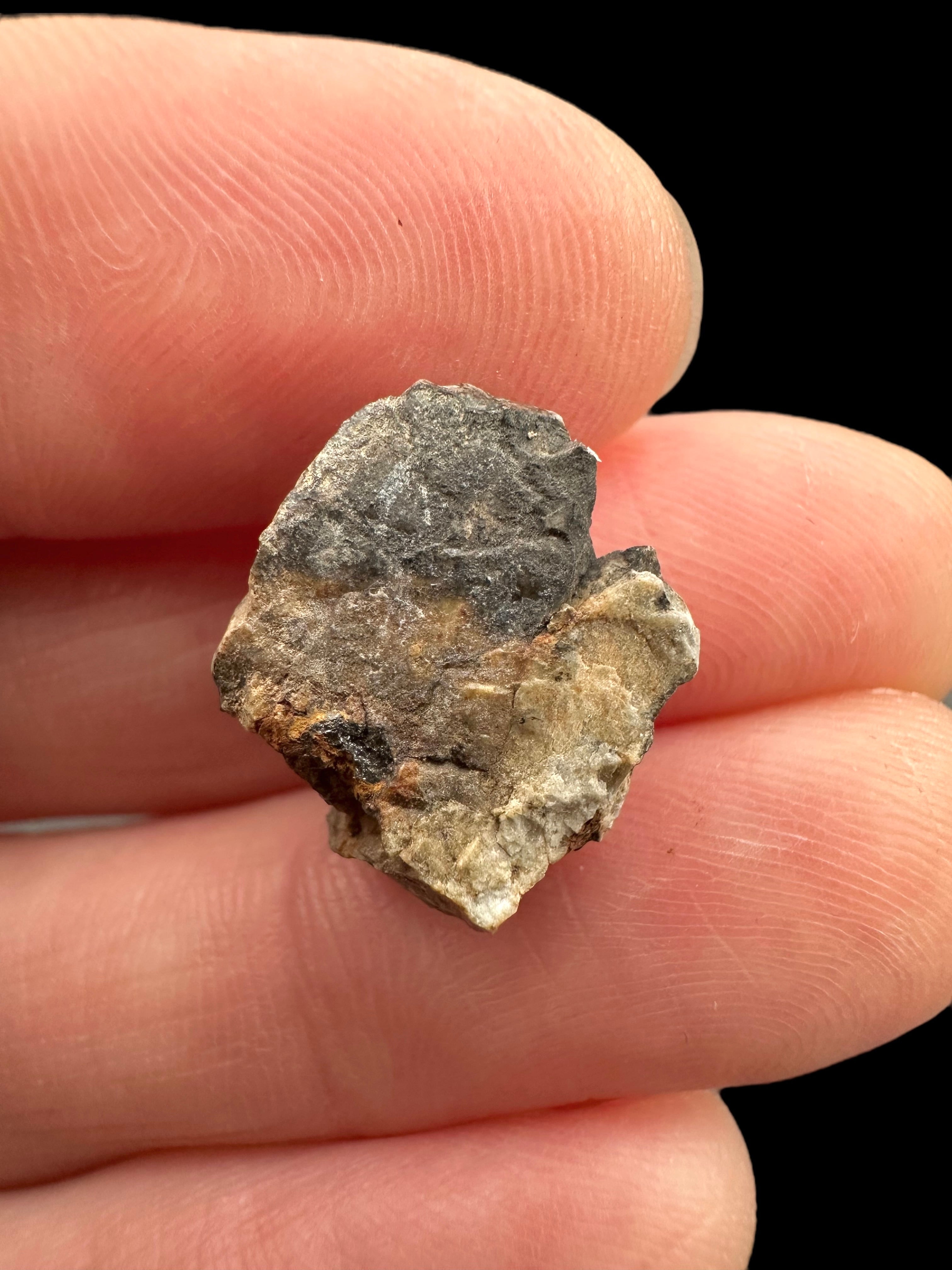 Meteorite Djoua 001 – 1,5g – Algeria - MEDJ17