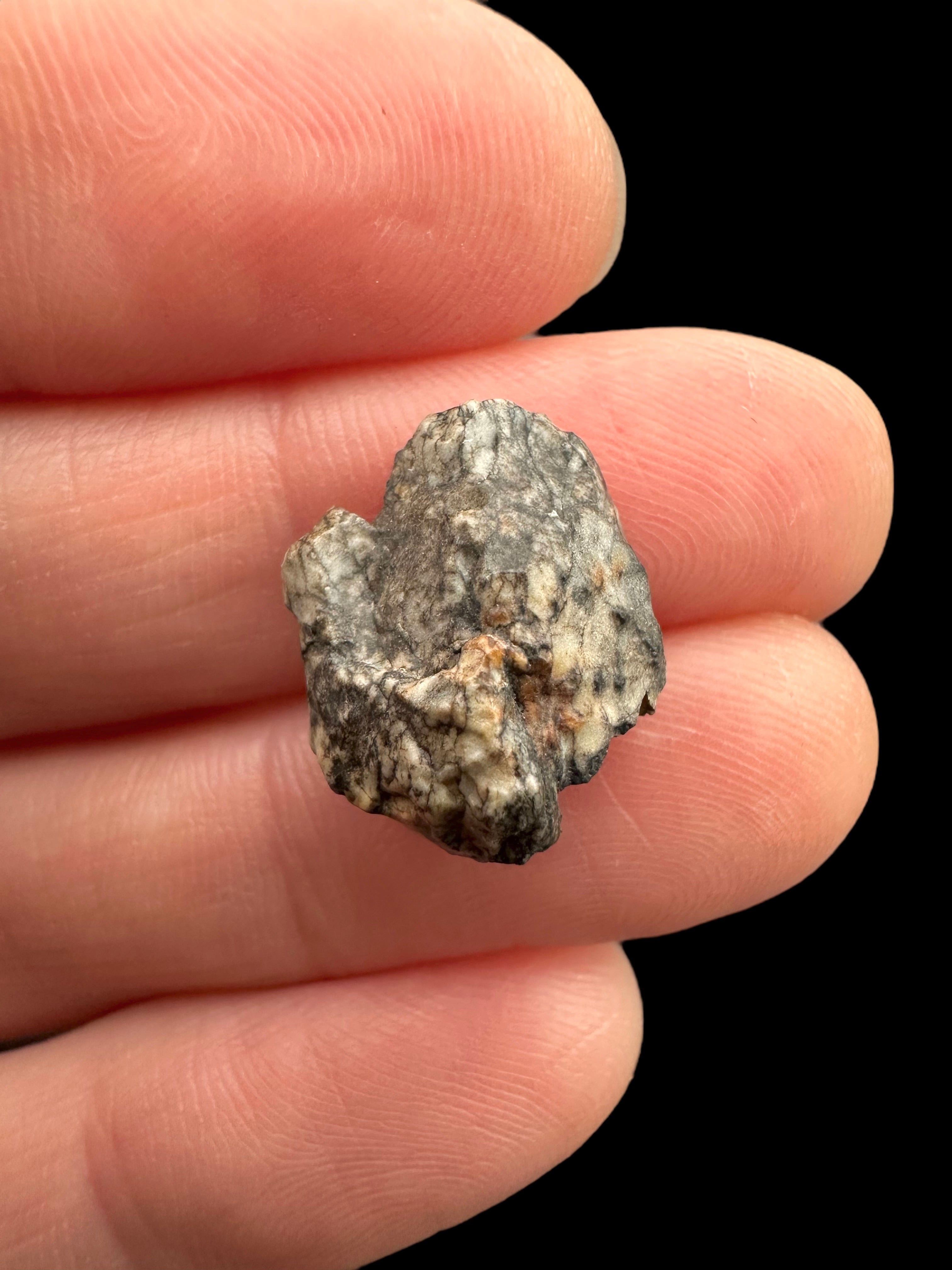 Meteorite Djoua 001 – 1,5g – Algeria - MEDJ17