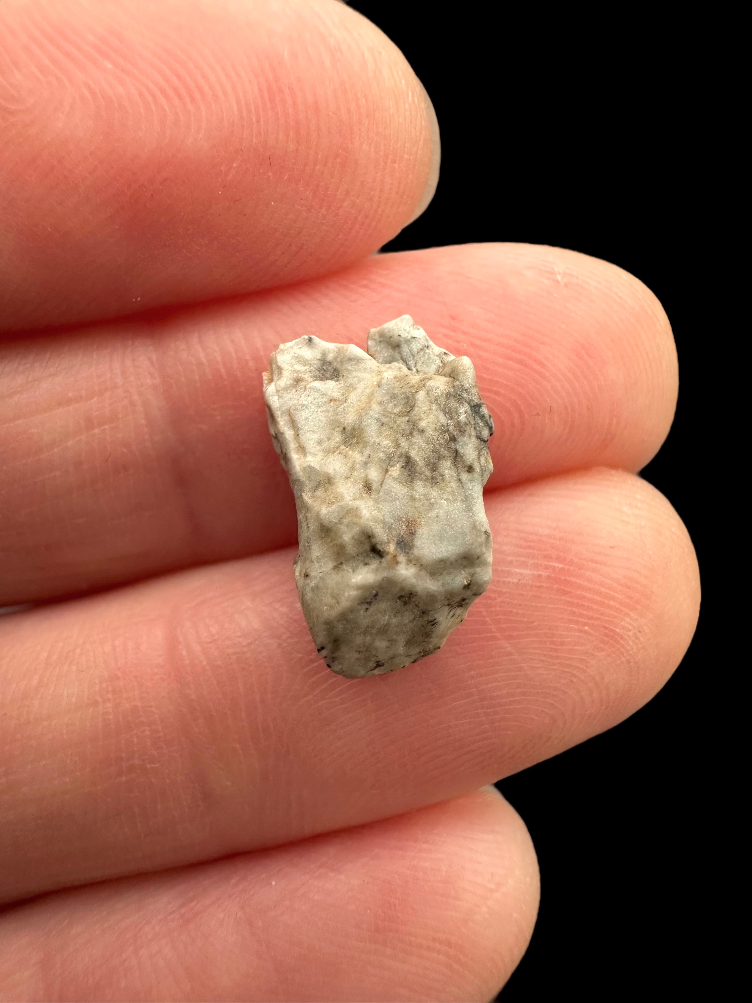 Meteorite Djoua 001 – 0,8g – Algeria - MEDJ18