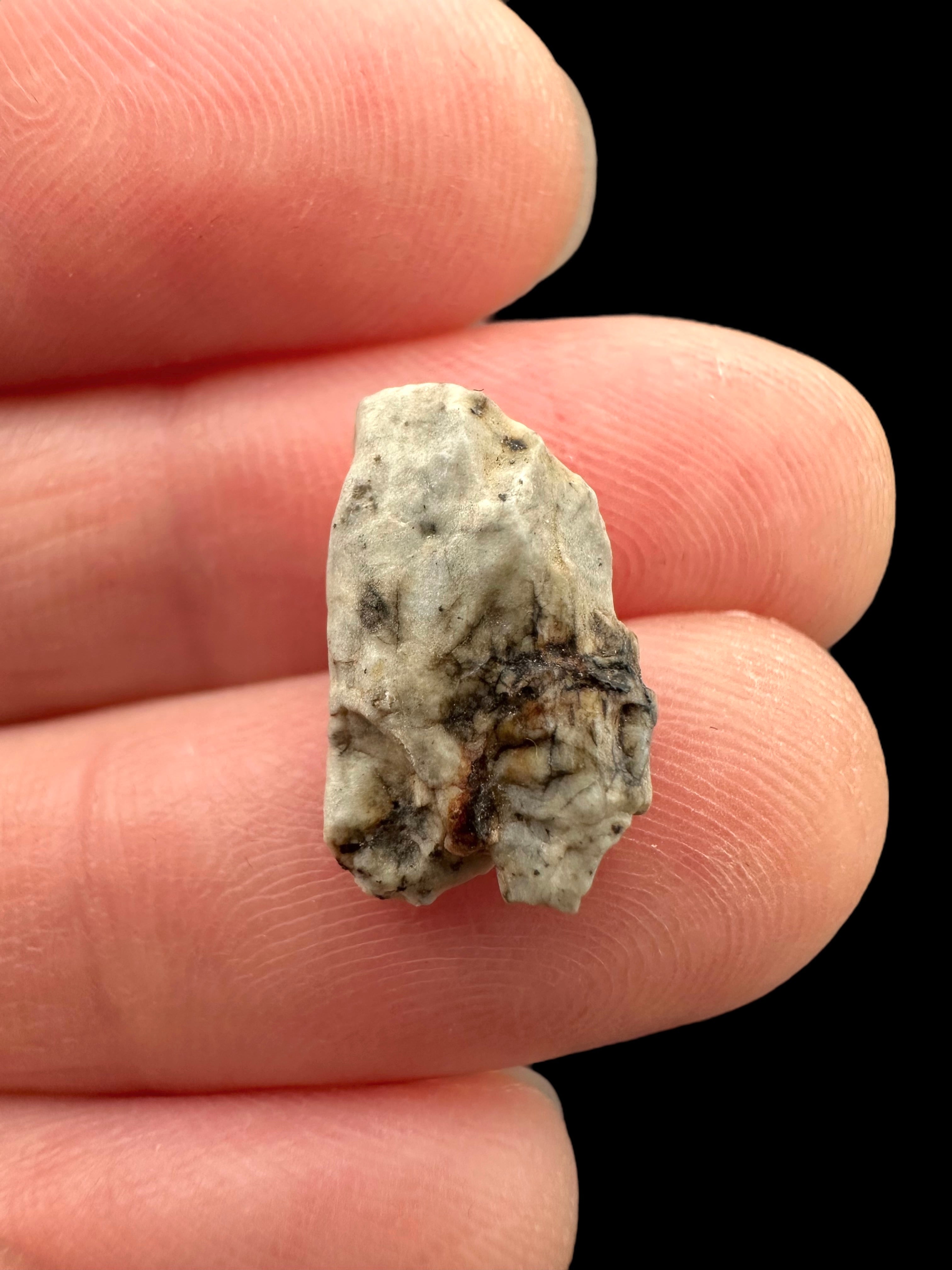 Meteorite Djoua 001 – 0,8g – Algeria - MEDJ18