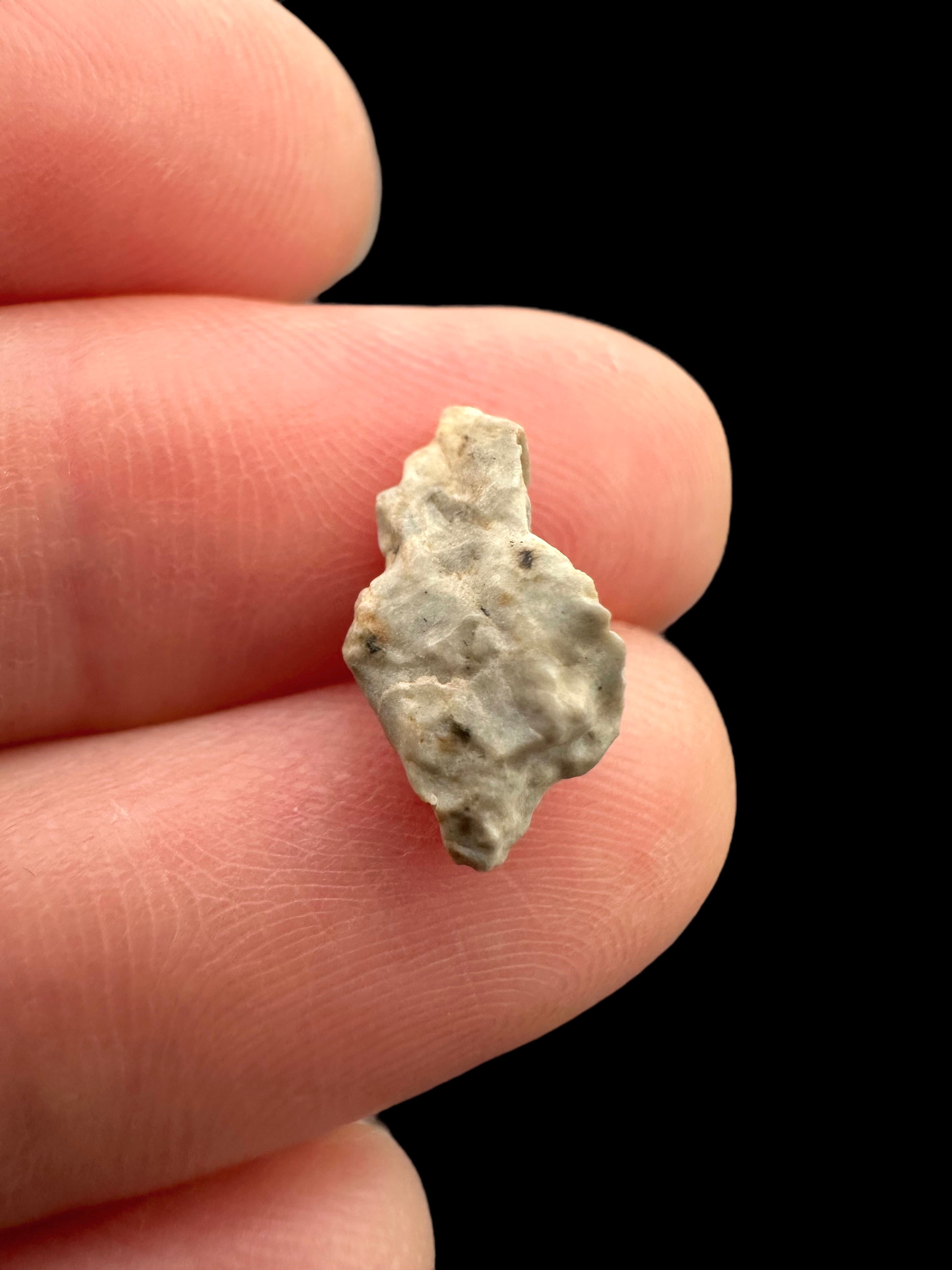 Meteorite Djoua 001 – 0,4g – Algeria - MEDJ19