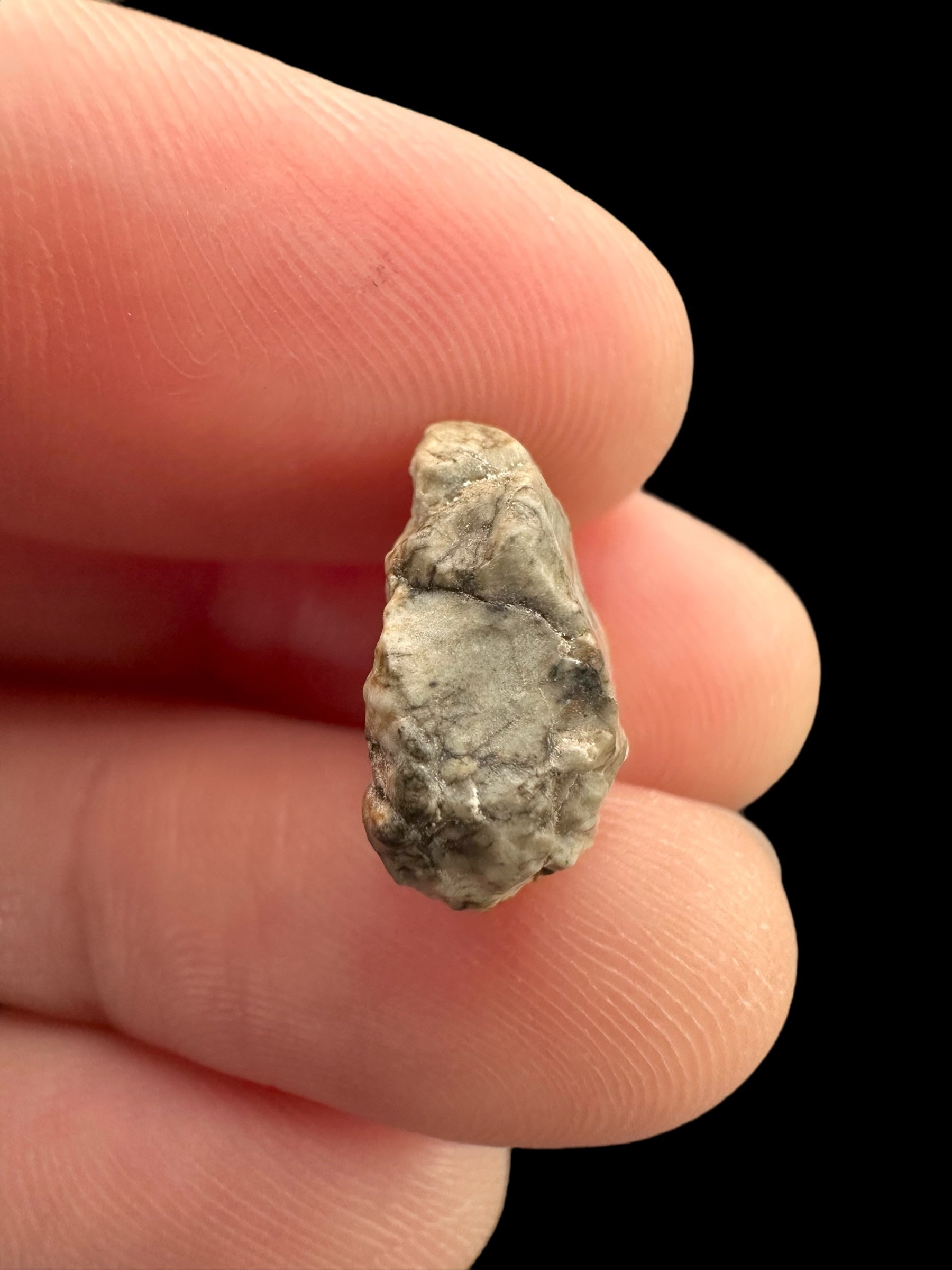 Meteorite Djoua 001 – 1,2g – Algeria - MEDJ20