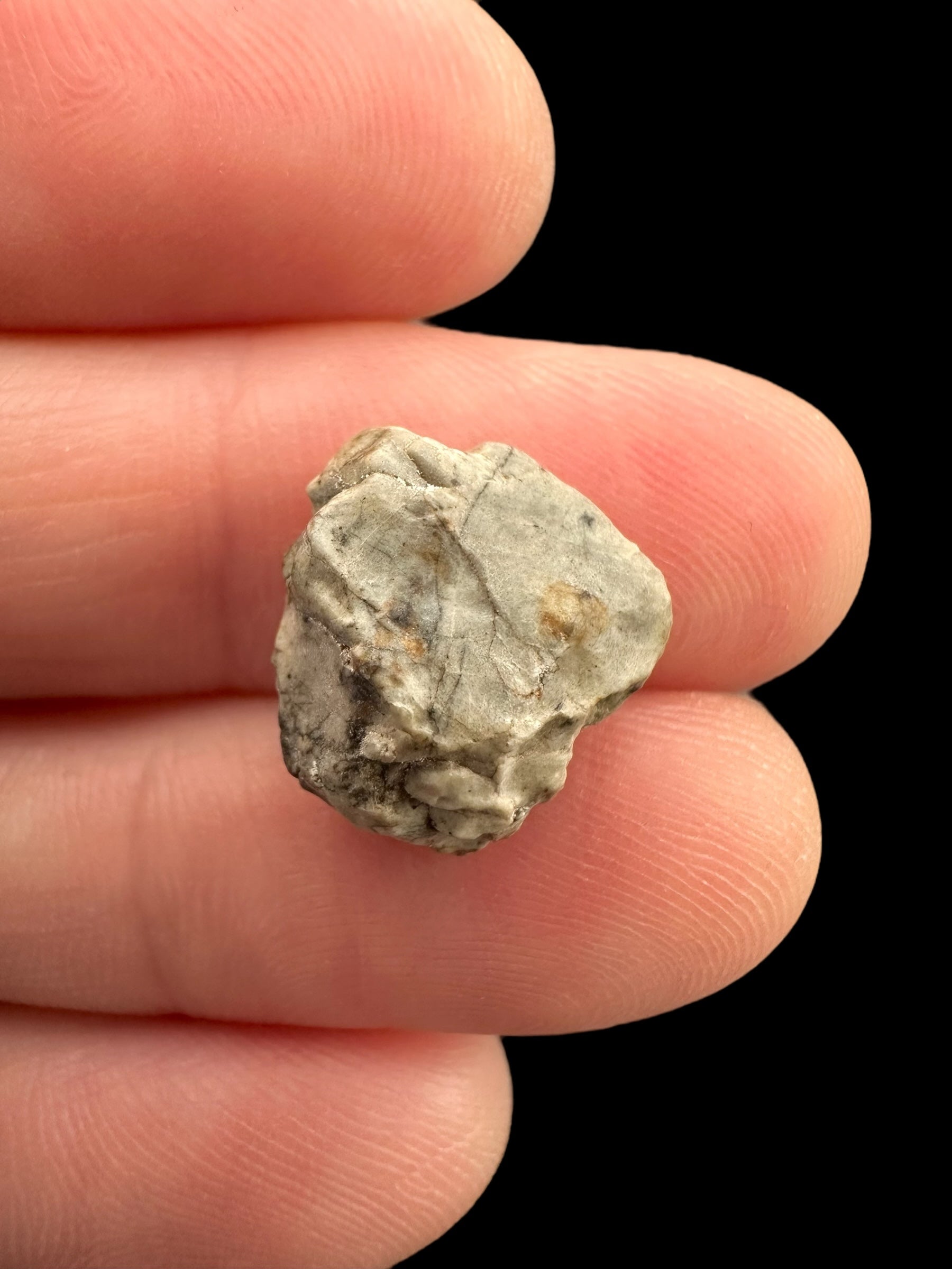 Meteorite Djoua 001 – 1,2g – Algeria