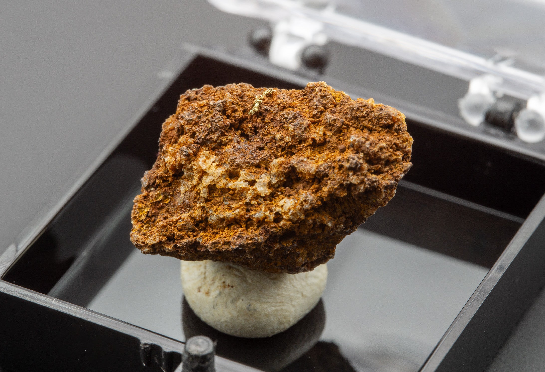 Gold – Zlate hory, CZ - ZL070