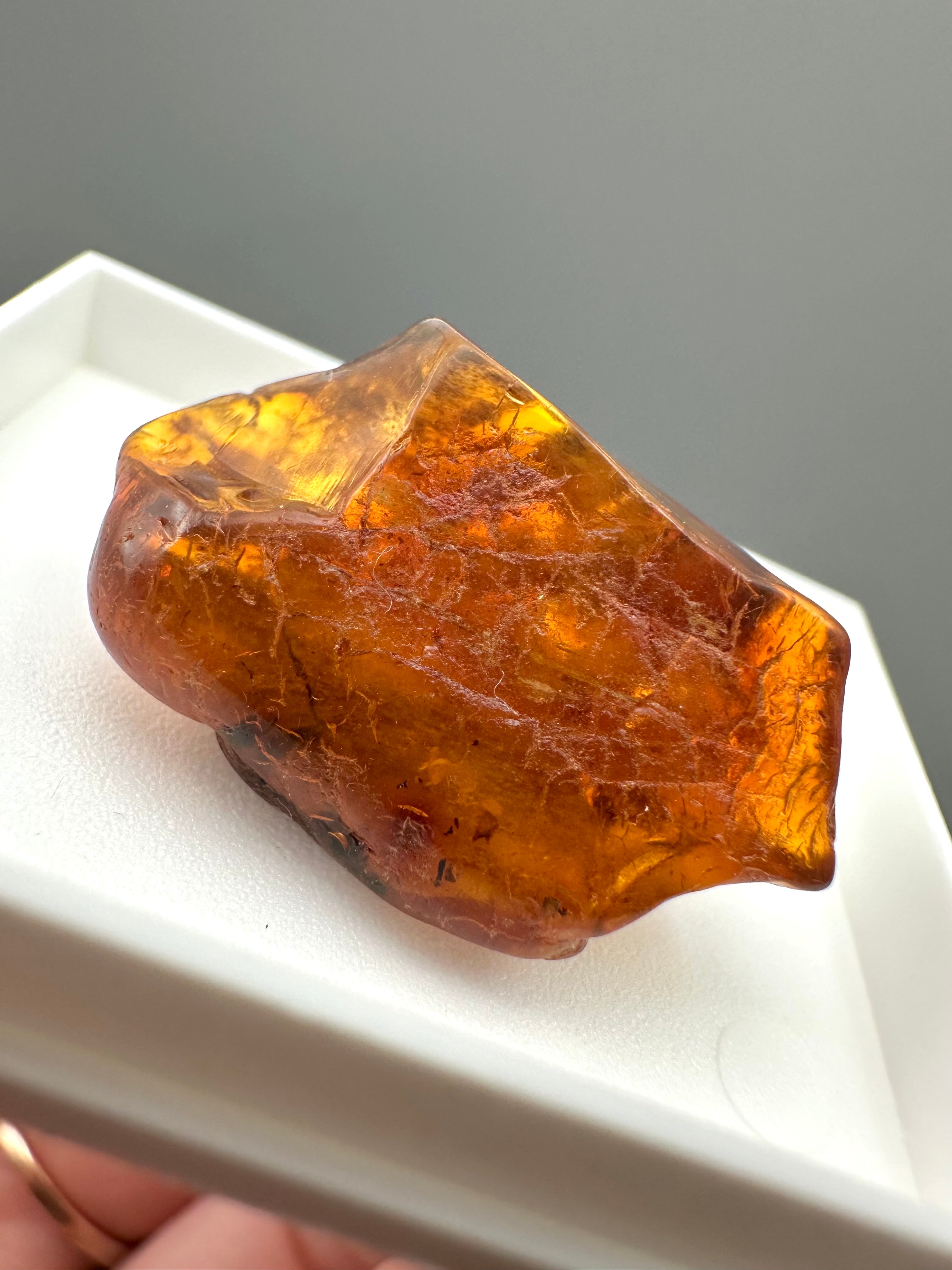 Amber – Gdańsk, Poland - MVK743