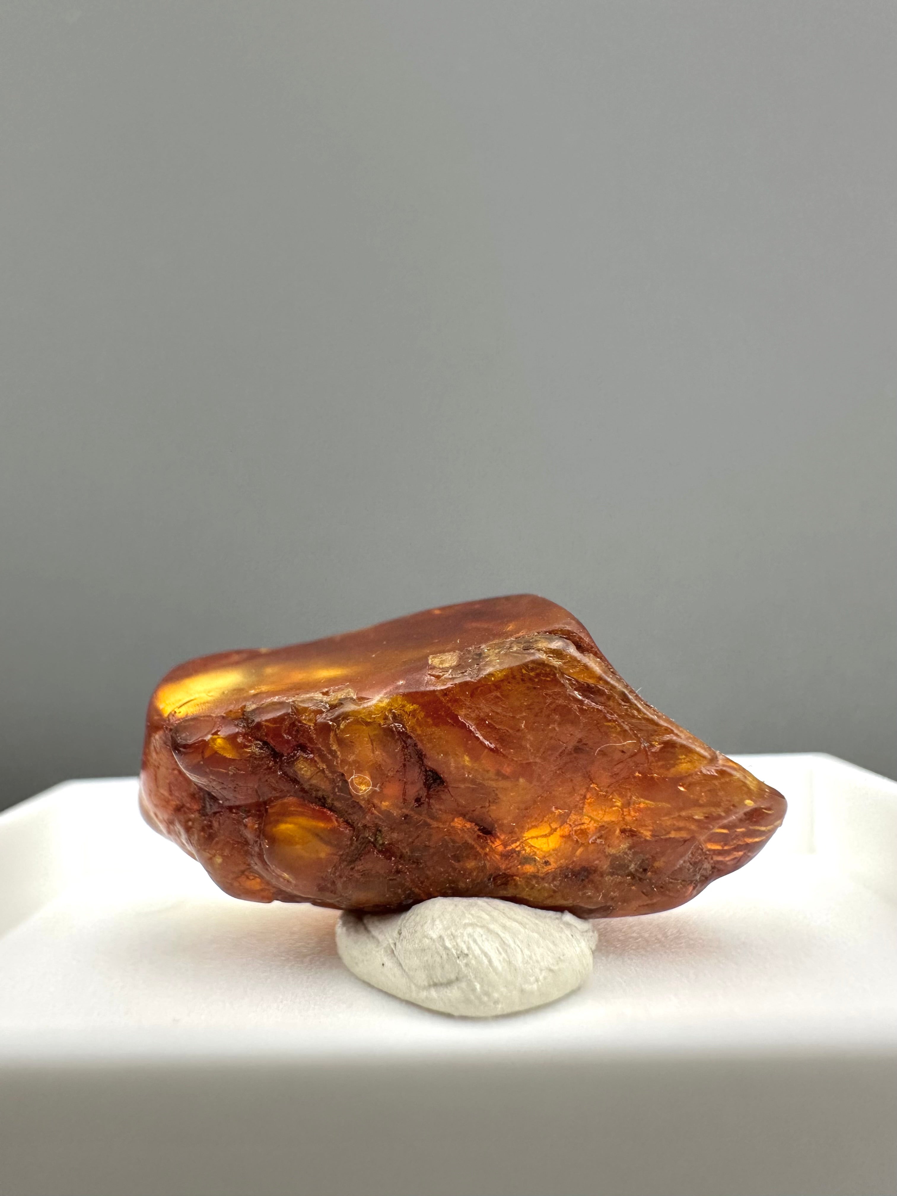 Amber – Gdańsk, Poland - MVK743