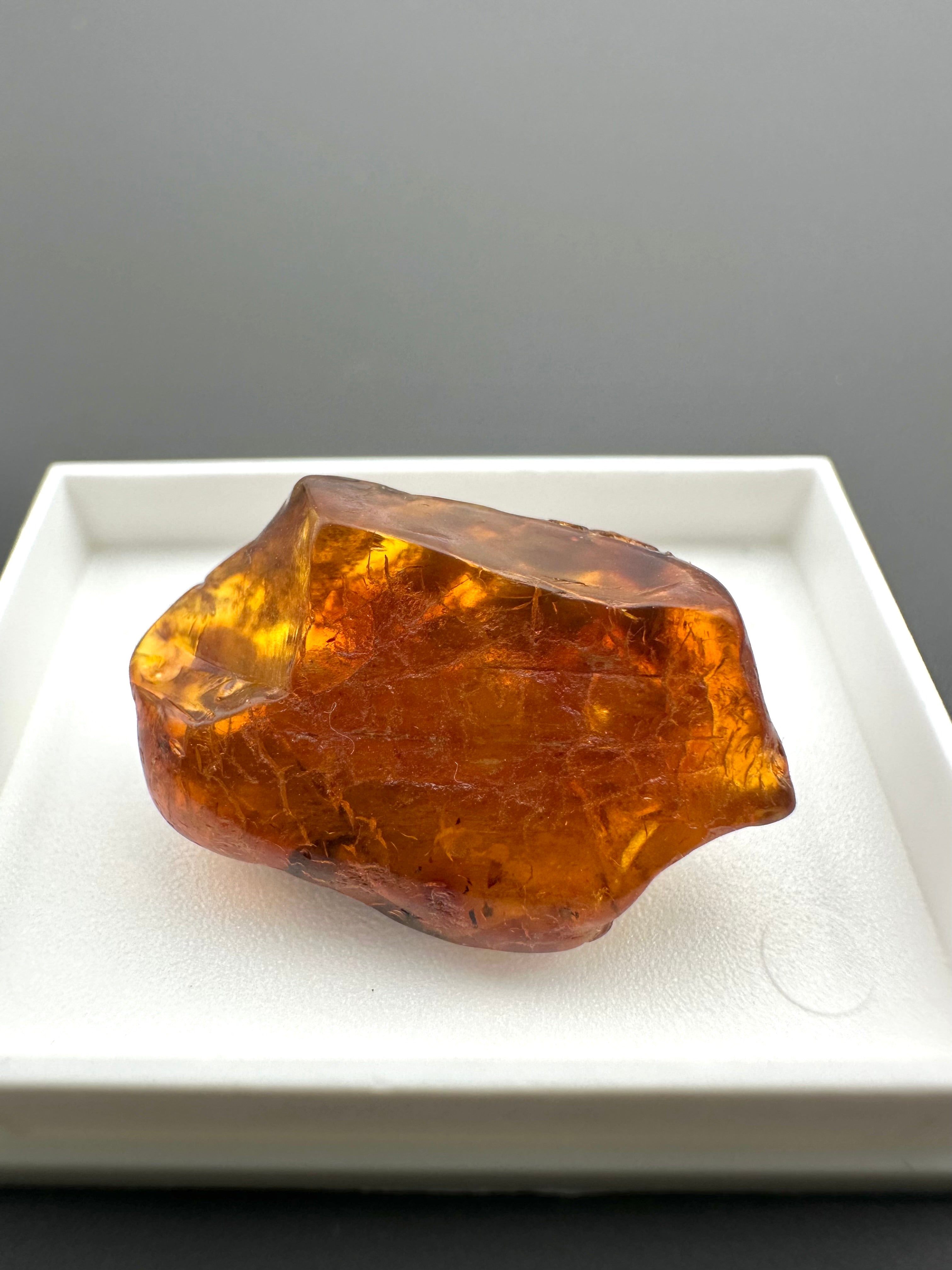 Amber – Gdańsk, Poland - MVK743