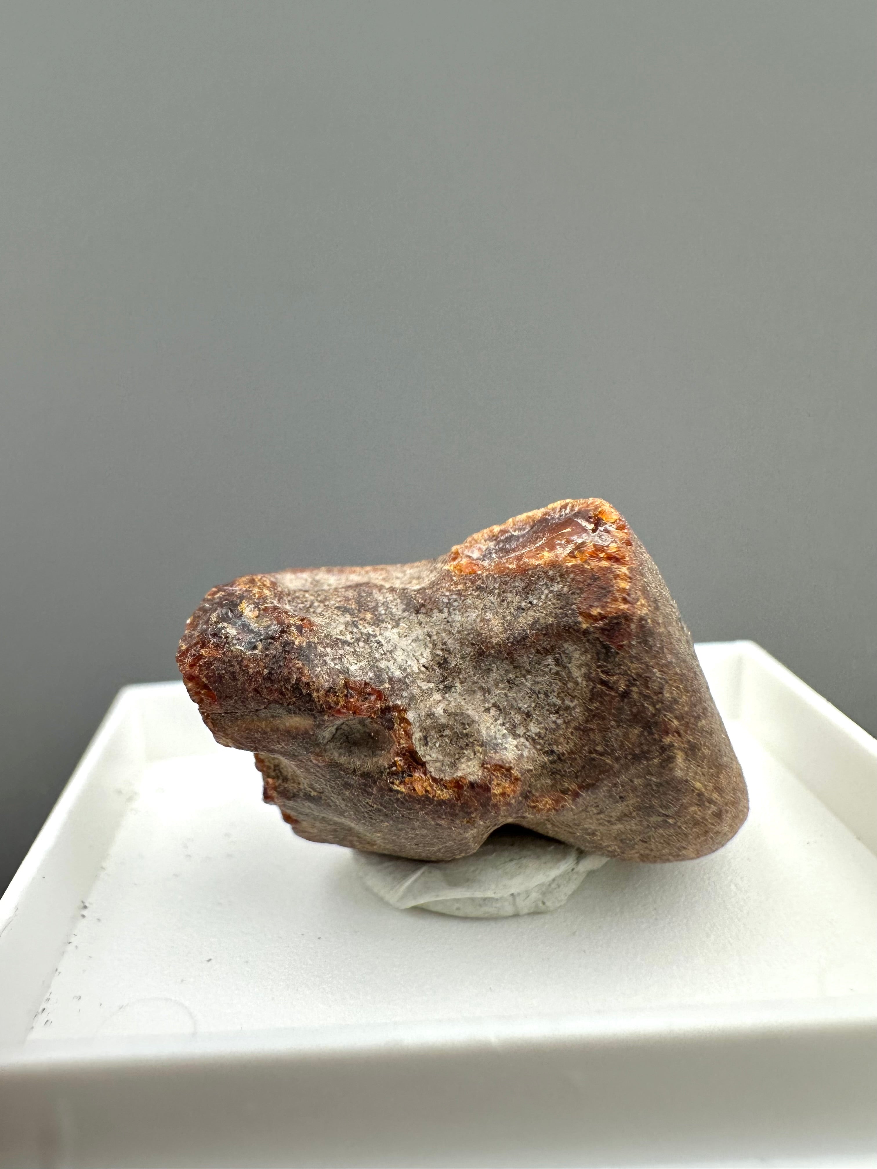 Amber – Gdańsk, Poland - MVK758