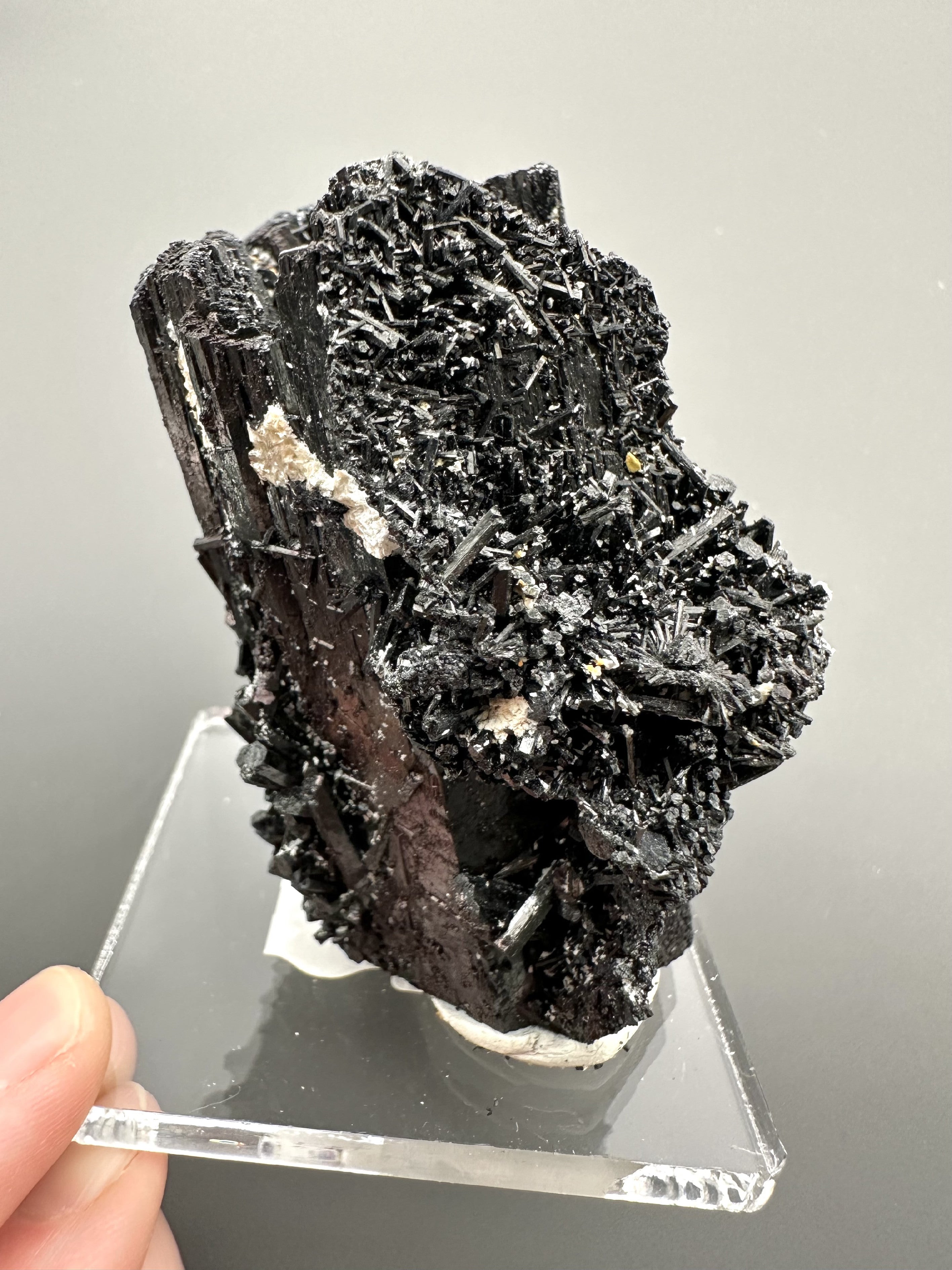 Schorl – Erongo, Namibia - SK041