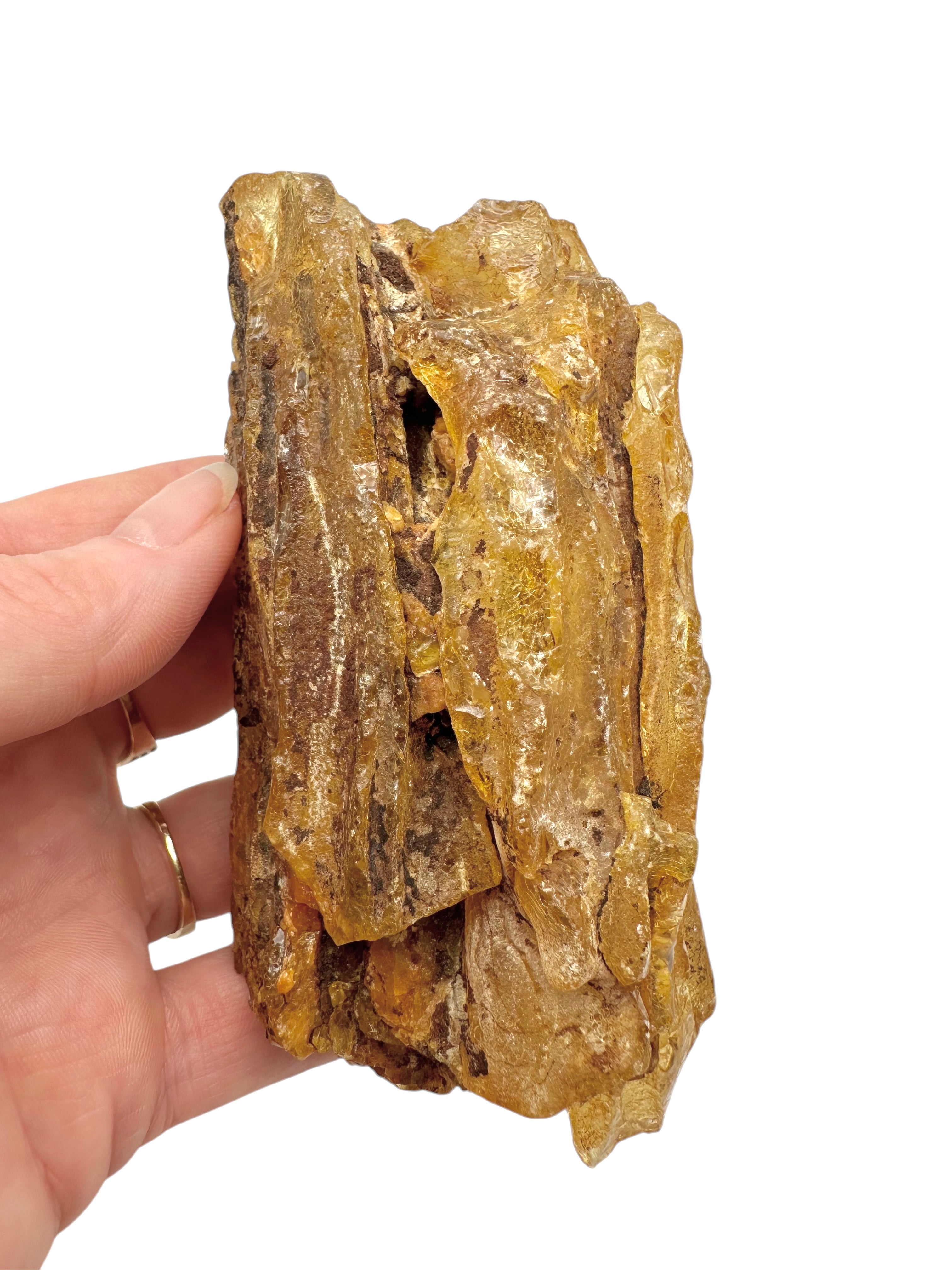Raw Young Amber (Copal) – Colombia