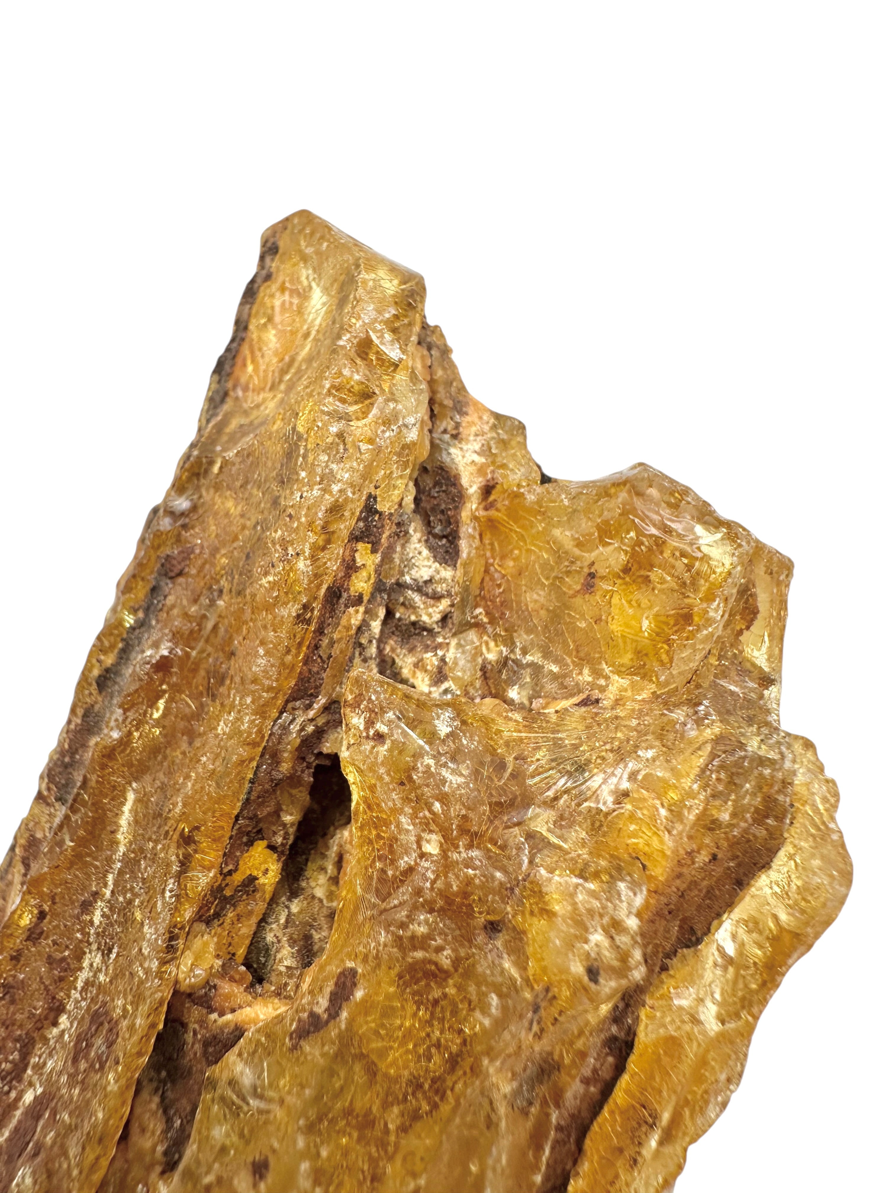 Raw Young Amber (Copal) – Colombia - JN346