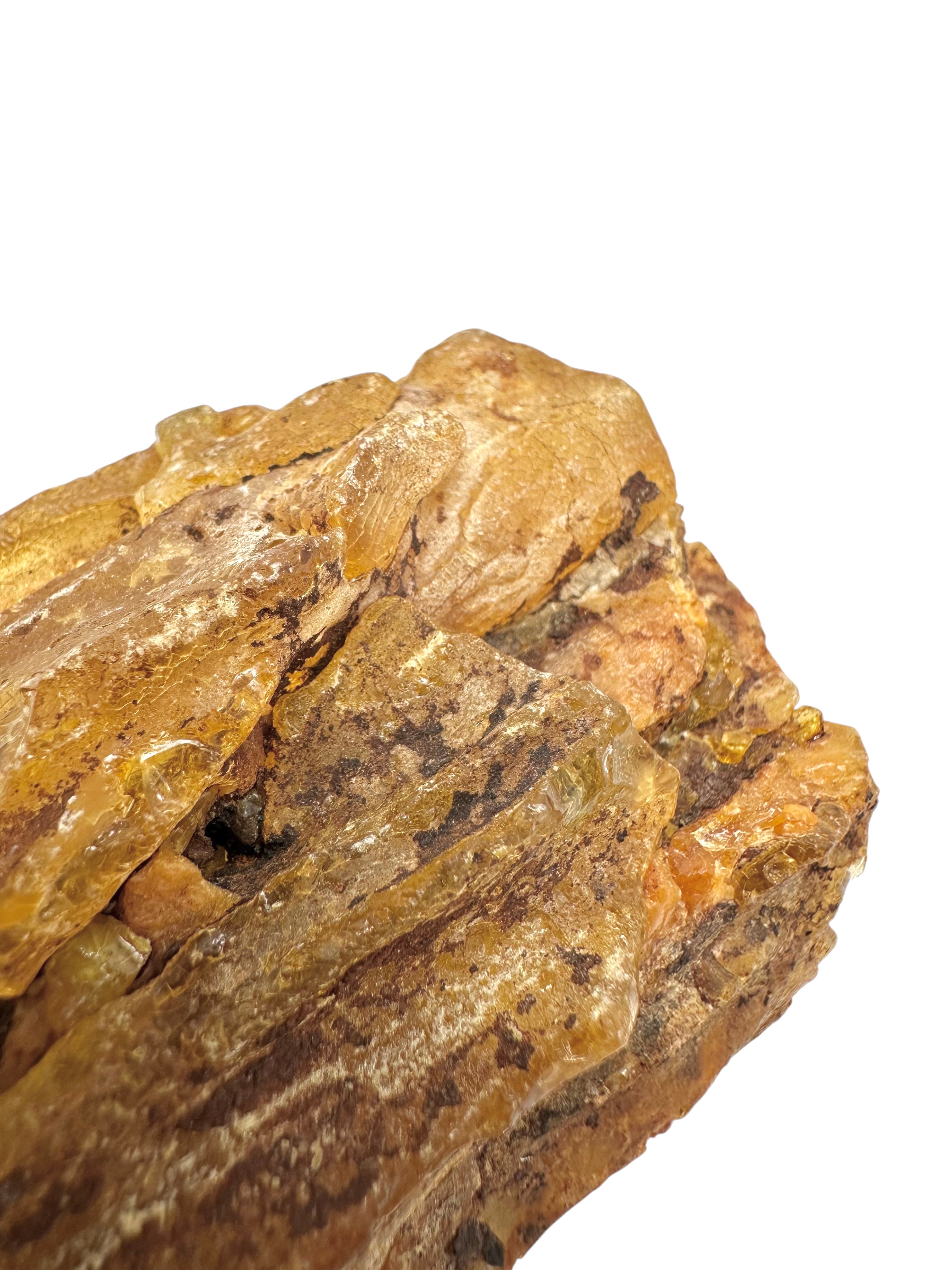 Raw Young Amber (Copal) – Colombia - JN346